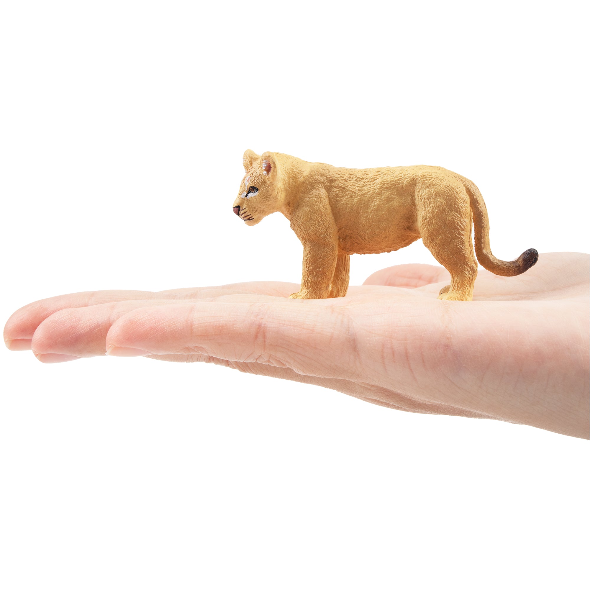 Toymany Standing Lion Cub Figurine Toy - 1-on hand