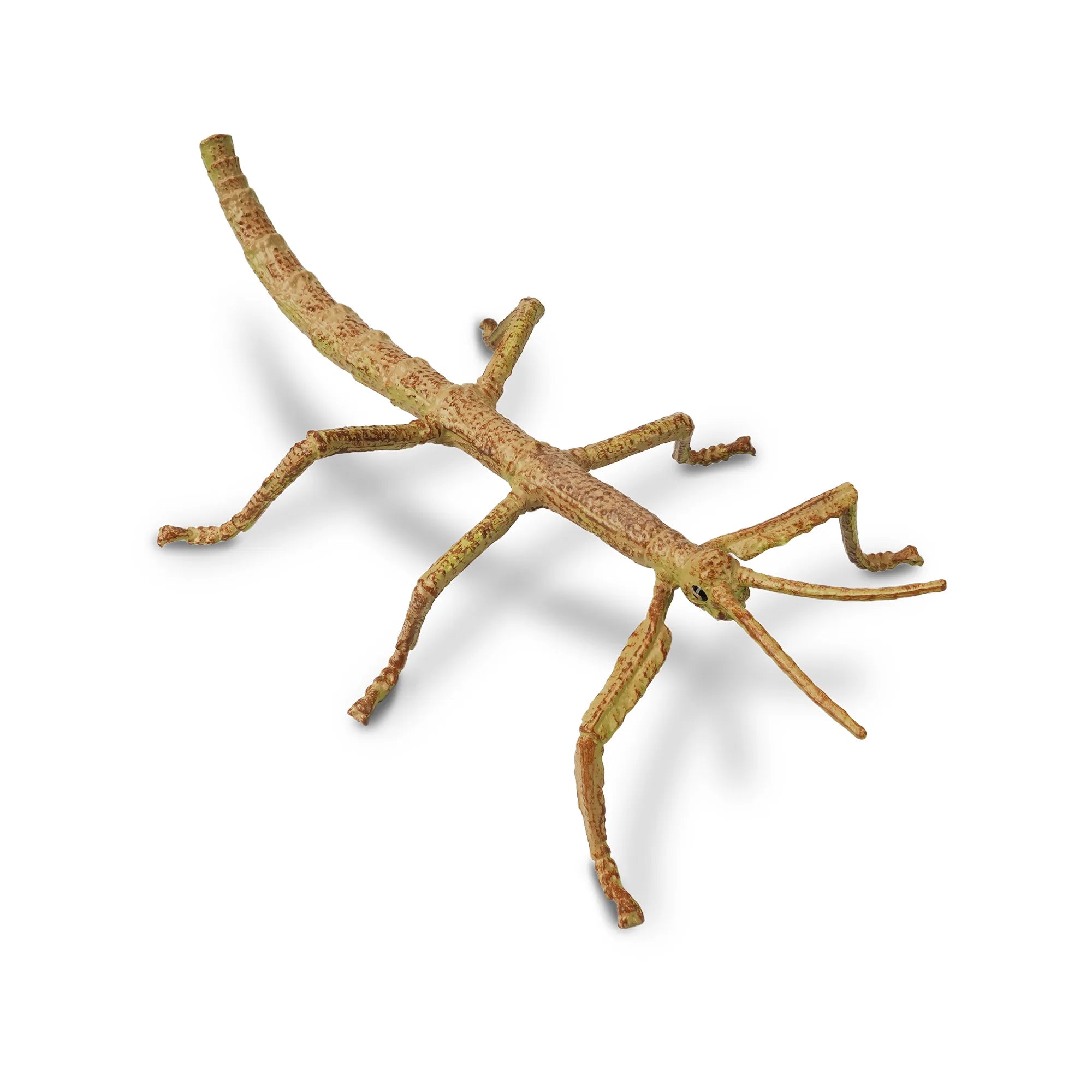 Toymany Stick Insect Figurine Toy