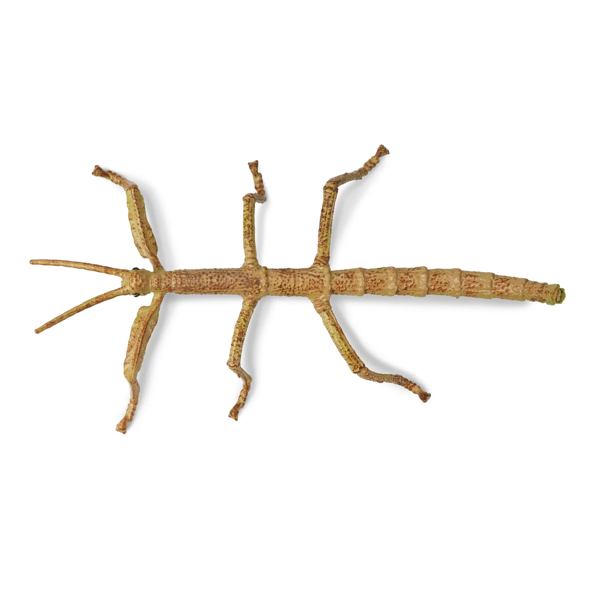 Toymany Stick Insect Figurine Toy