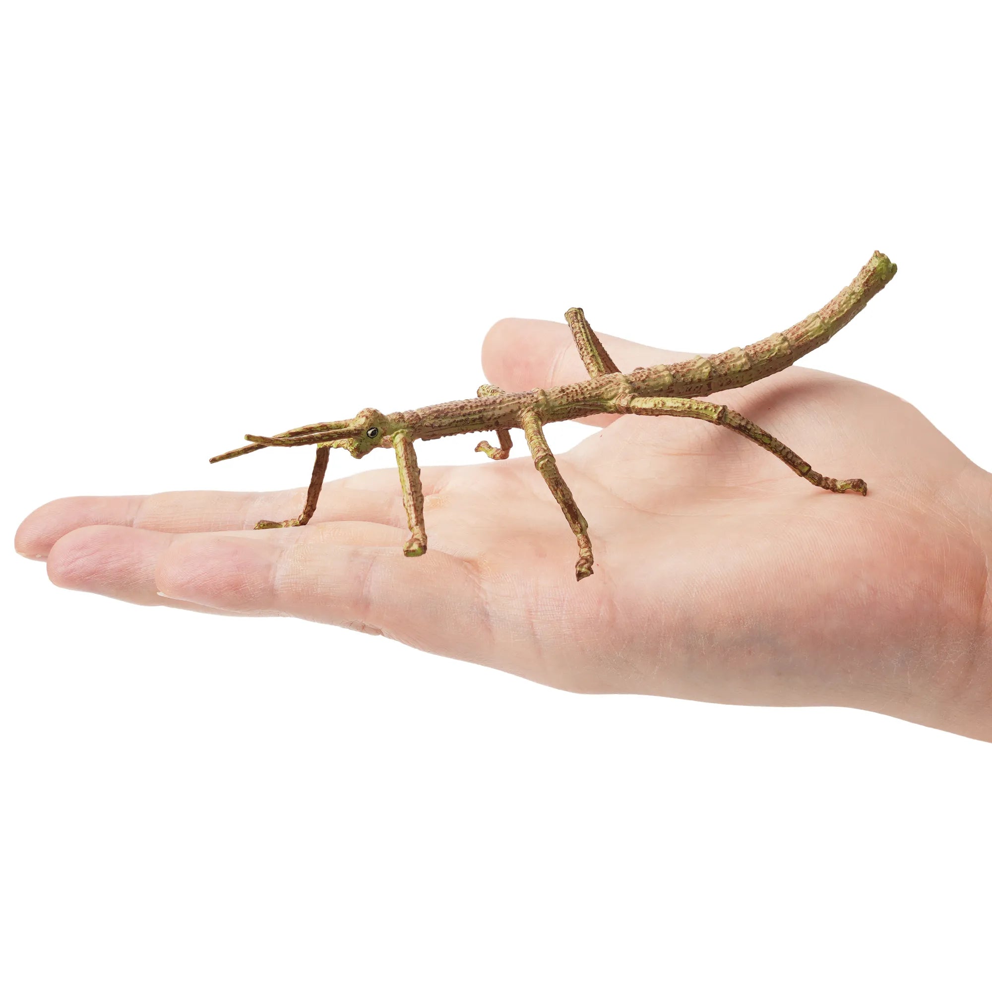 Toymany Stick Insect Figurine Toy