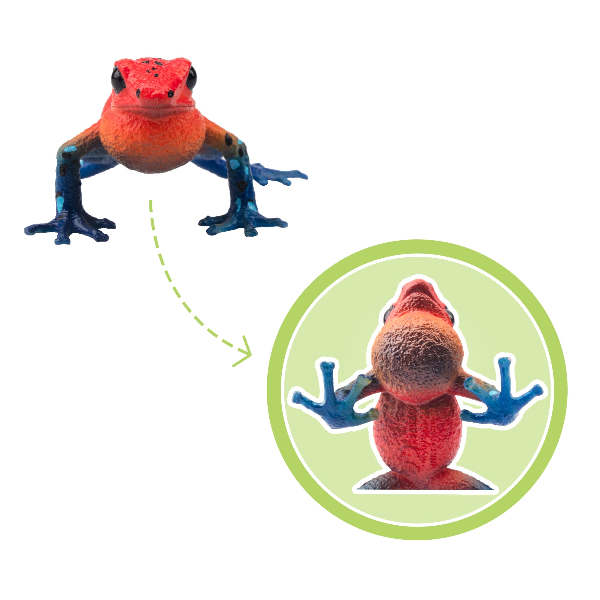 Toymany Strawberry Poison-Dart Frog Figurine Toy-detail