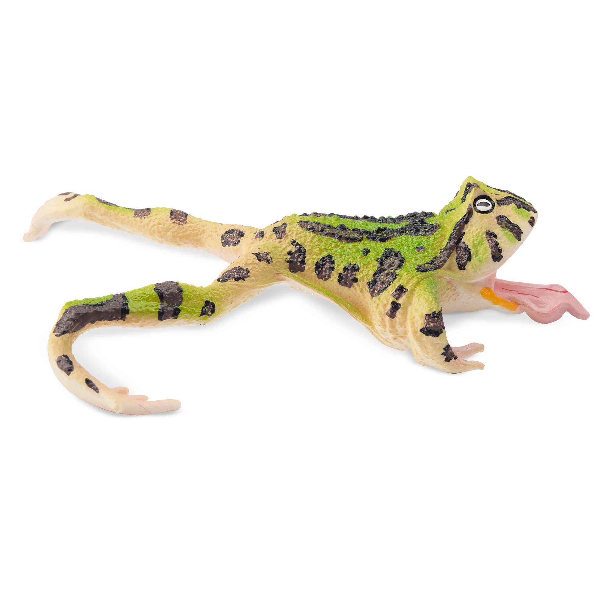 Toymany Surinam Horned Frog Figurine Toy-2