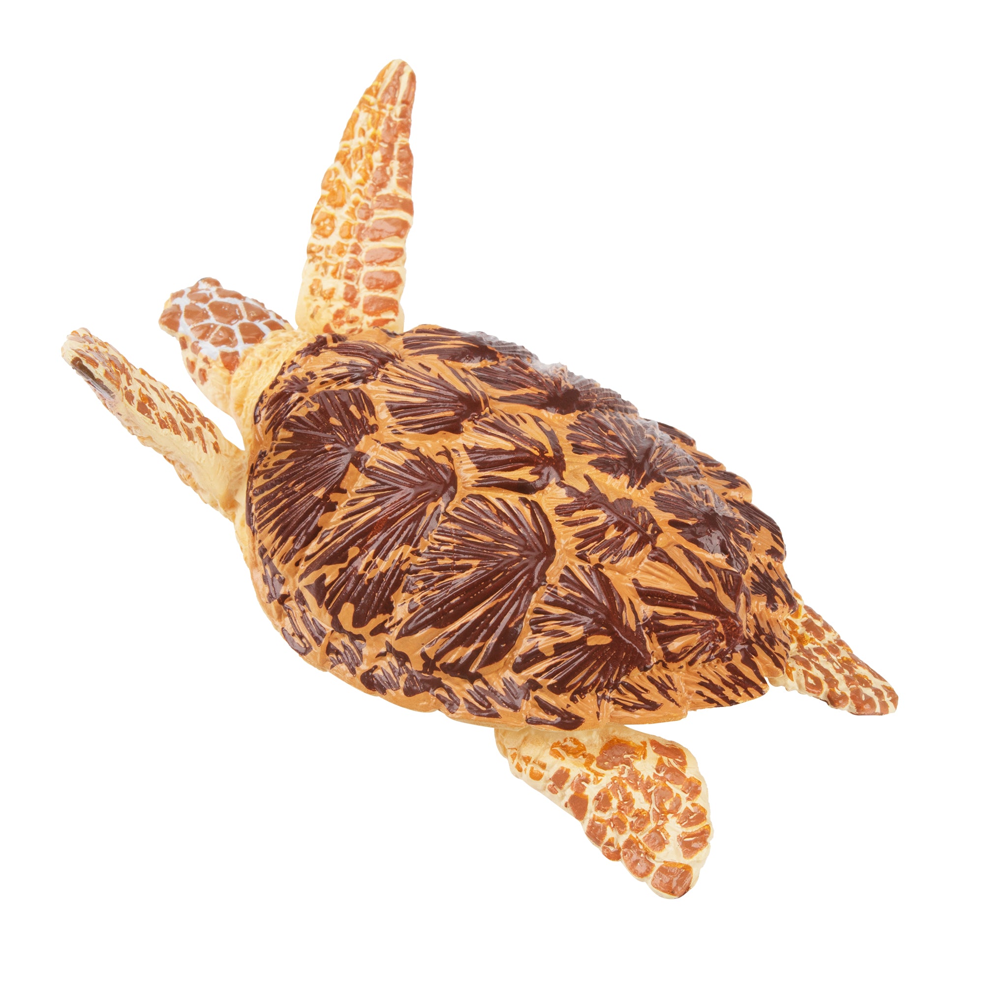 Toymany Swimming Hawksbill Sea Turtle Figurine Toy-back