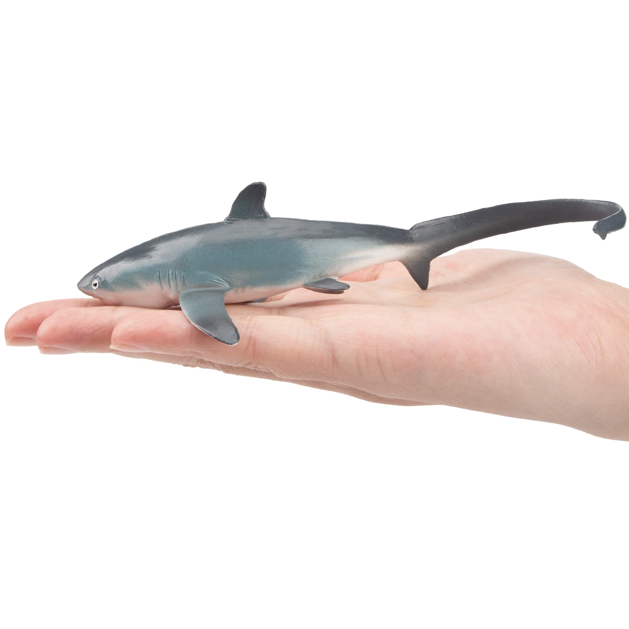 Toymany Thresher Shark Figurine Toy-on hand