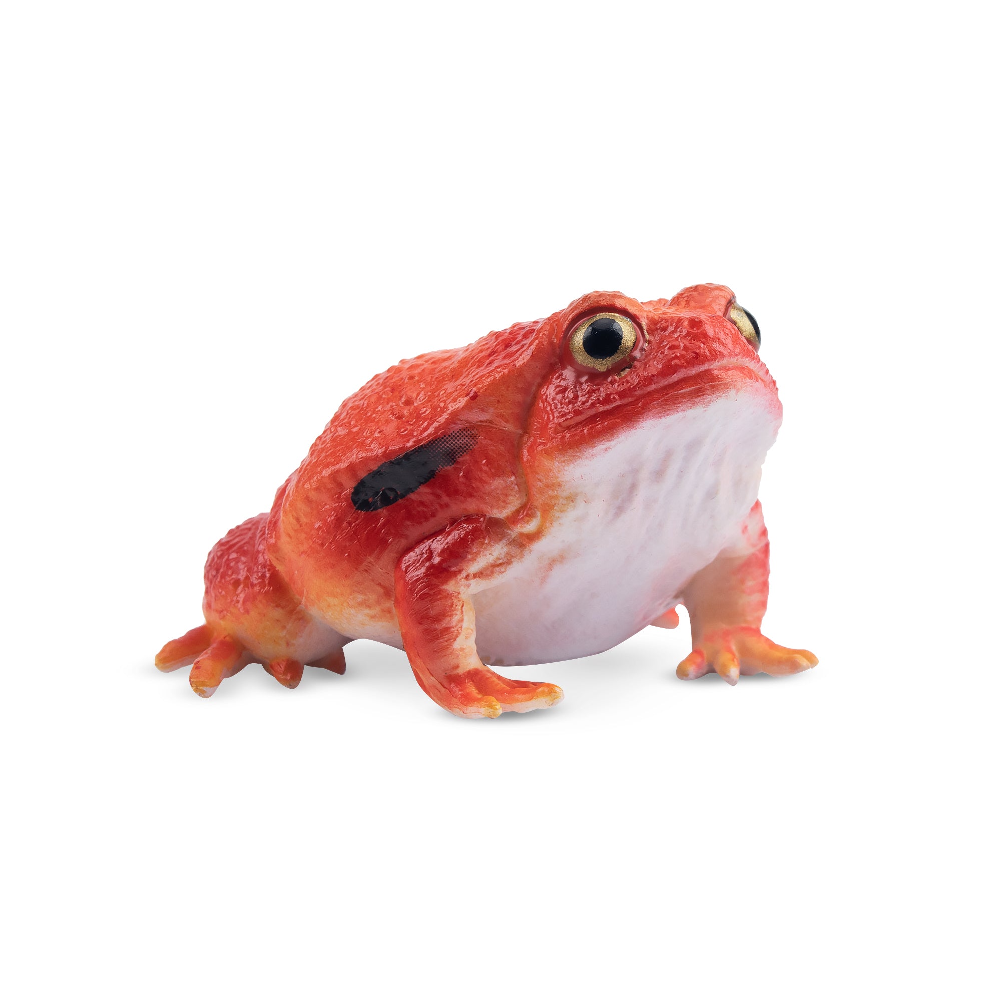 Toymany Tomato Frog Figurine Toy-2
