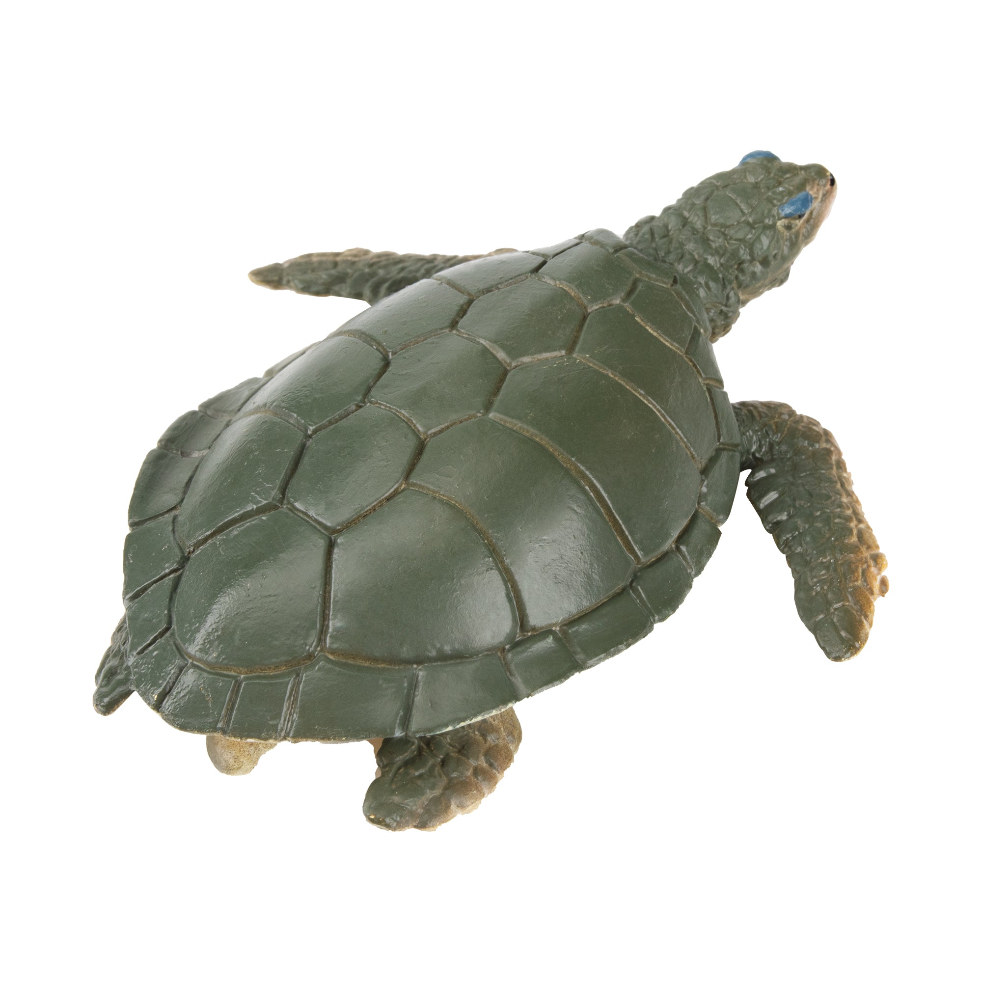 Toymany Walking Kemp's Ridley Sea Turtle Figurine Toy-back
