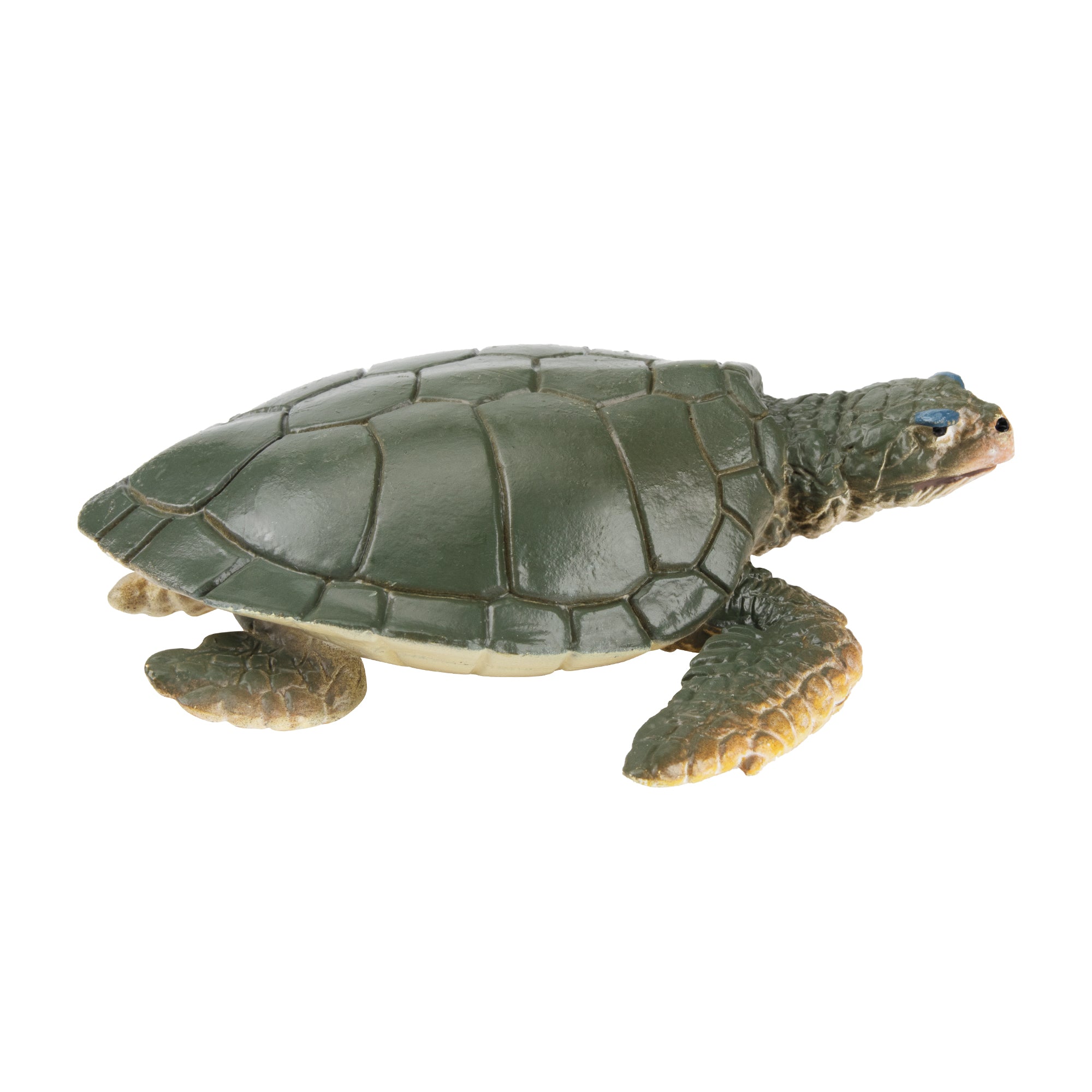 Toymany Walking Kemp's Ridley Sea Turtle Figurine Toy