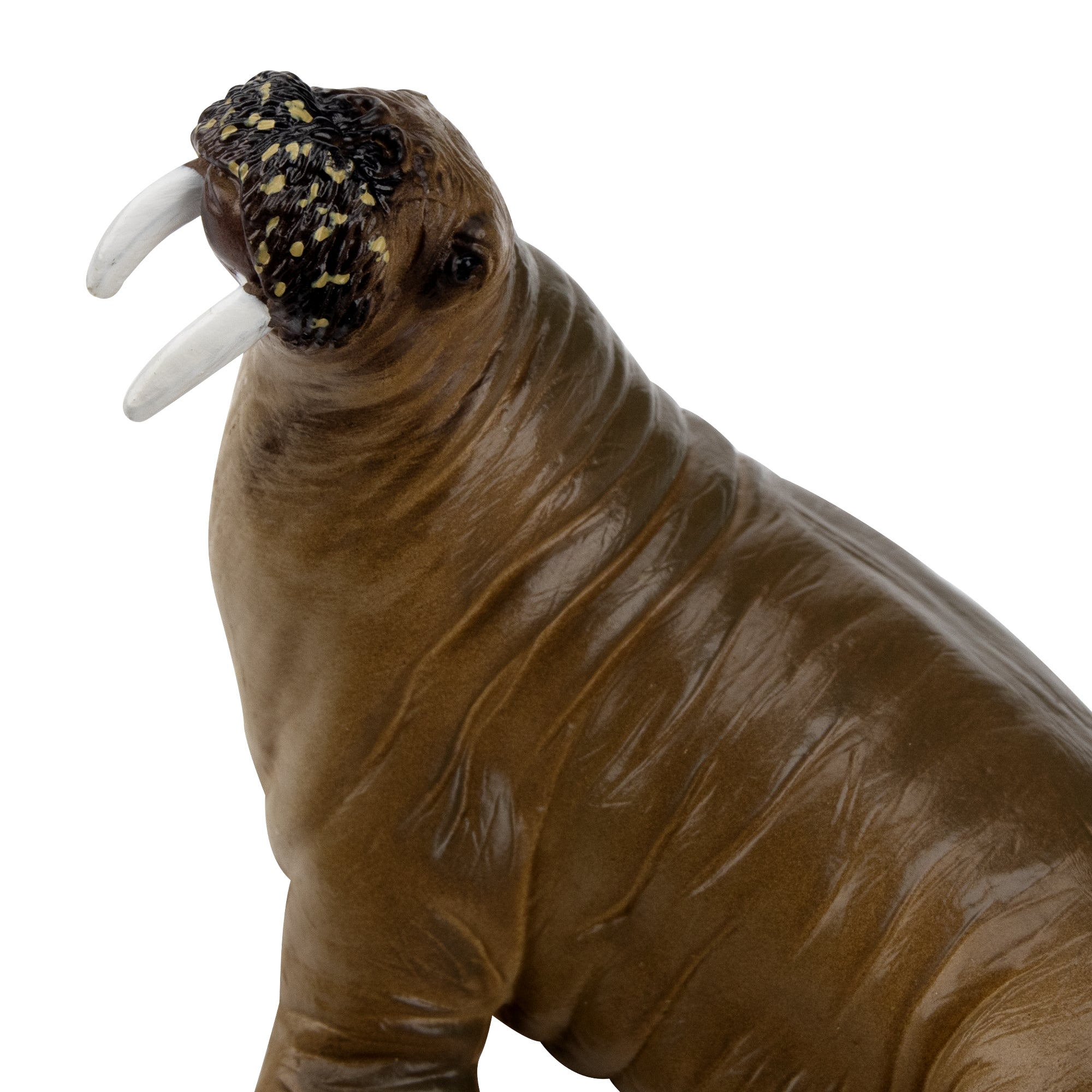 Toymany  Walrus Figurine Toy-detail