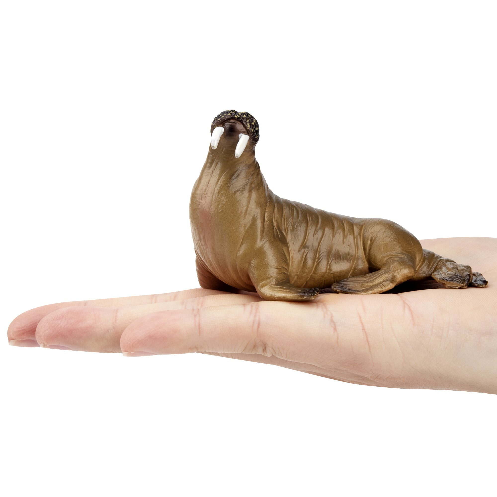 Toymany  Walrus Figurine Toy-on hand-2