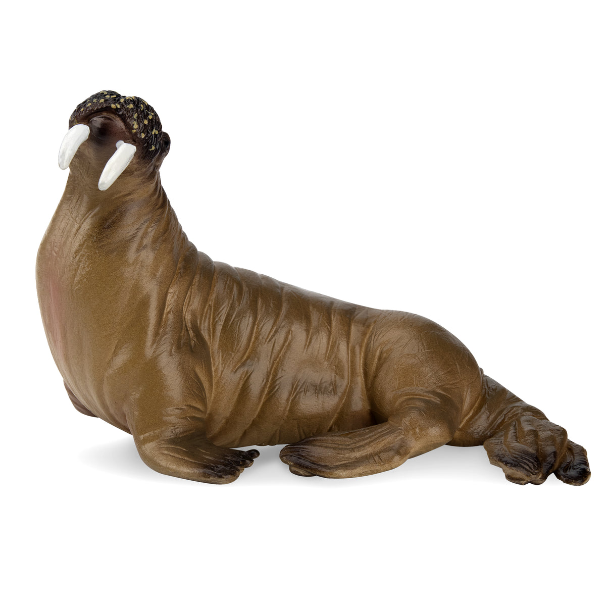 Moule En Céramique Pour Figurine – Petit Morse Alberta A-14 (4 Pouces)