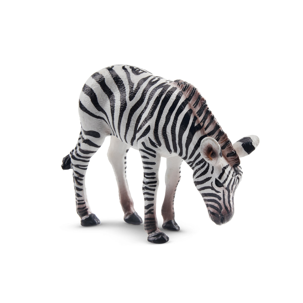 Toymany Zebra Foal | Realistic Animal Figurine Toy