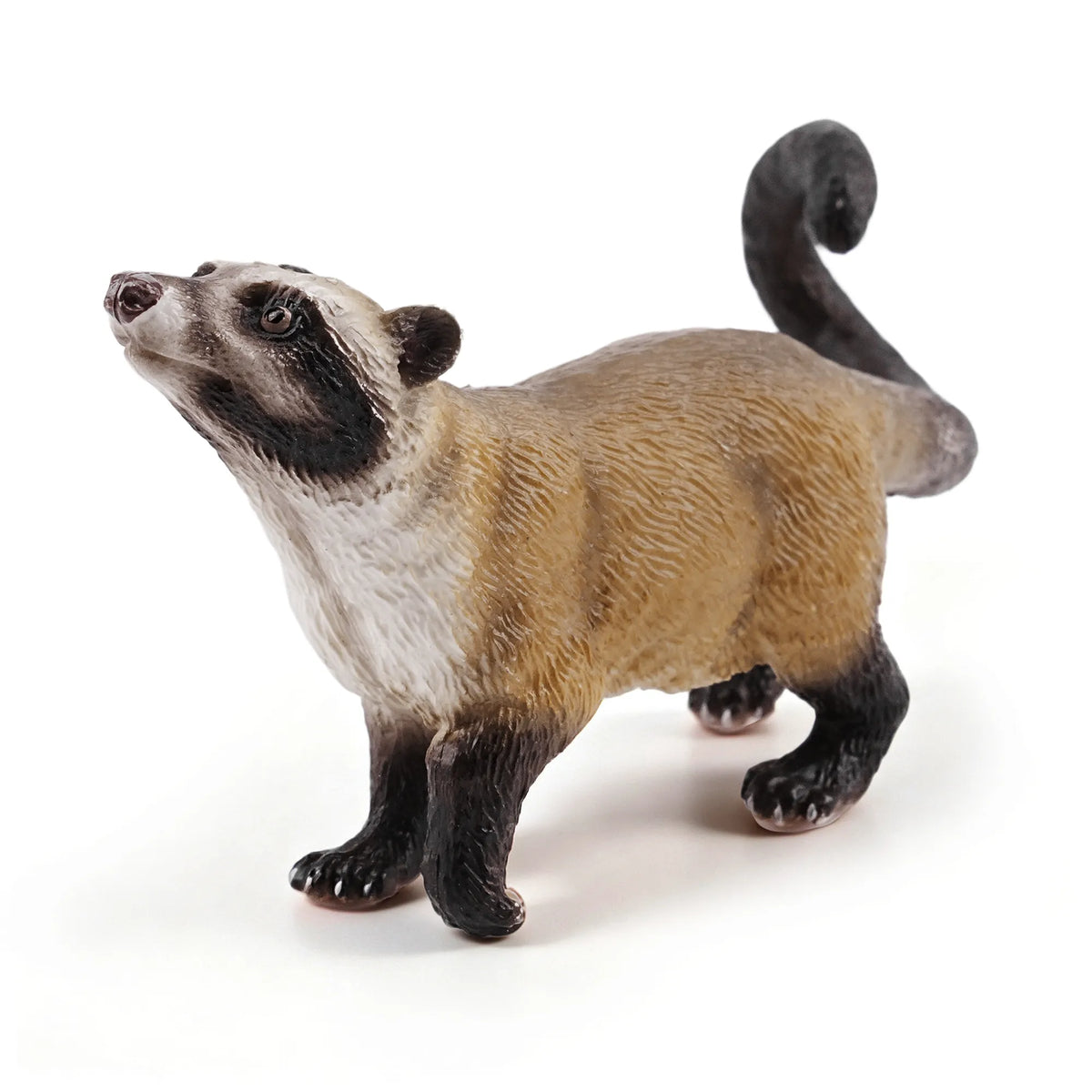 Toymany Asian Palm Civet Figurine Toy-1