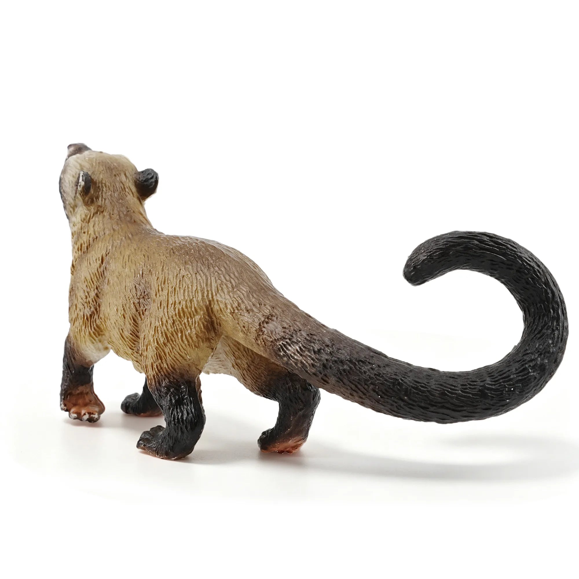 Toymany Asian Palm Civet Figurine Toy-2