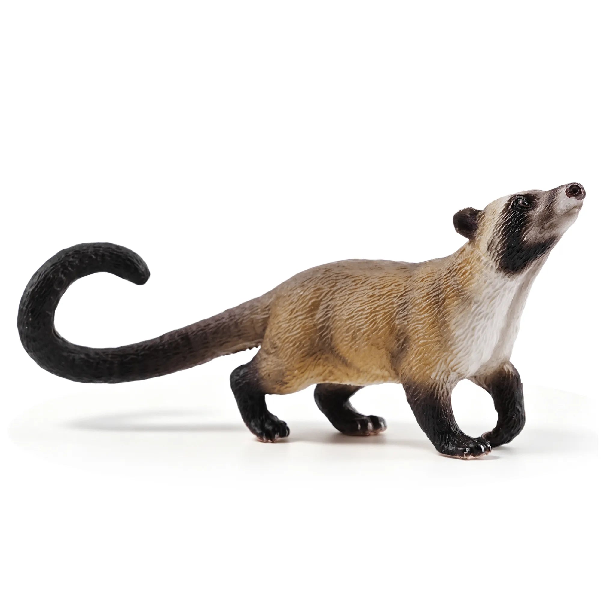 Toymany Asian Palm Civet Figurine Toy-3