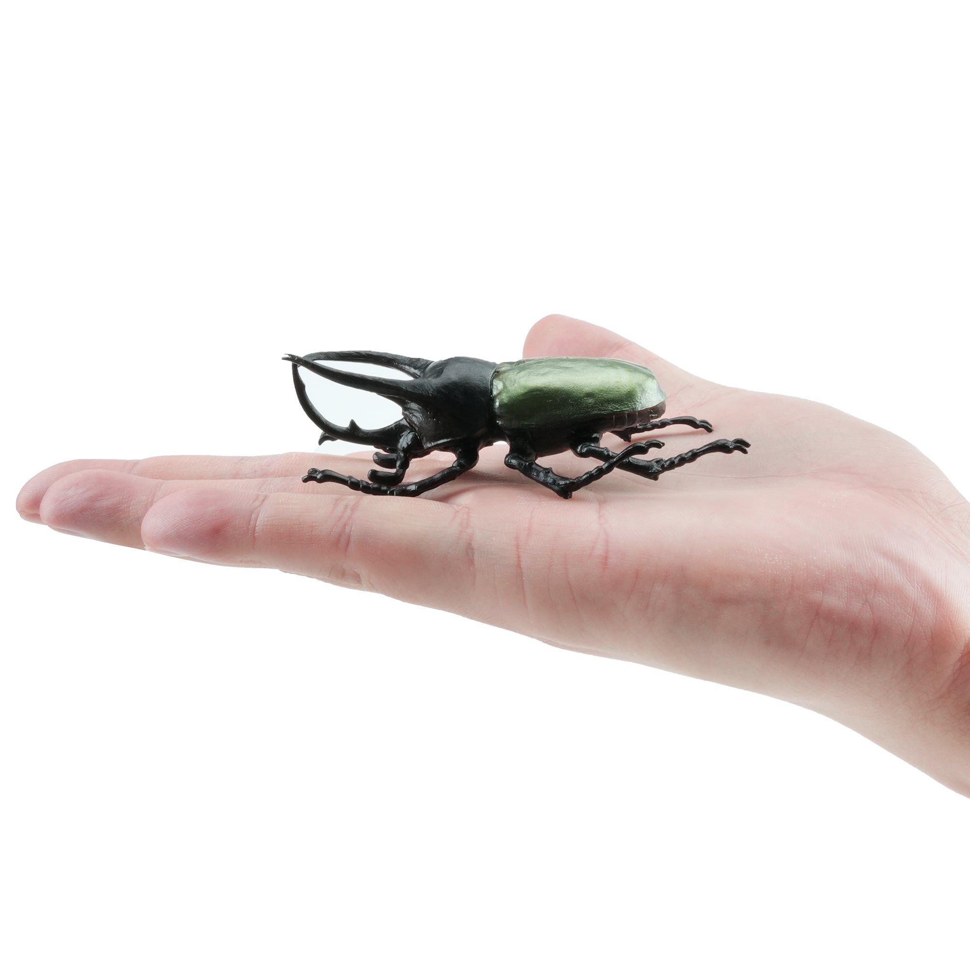 Toymany_Atlas_Beetle_Figurine_Toy-on_hand
