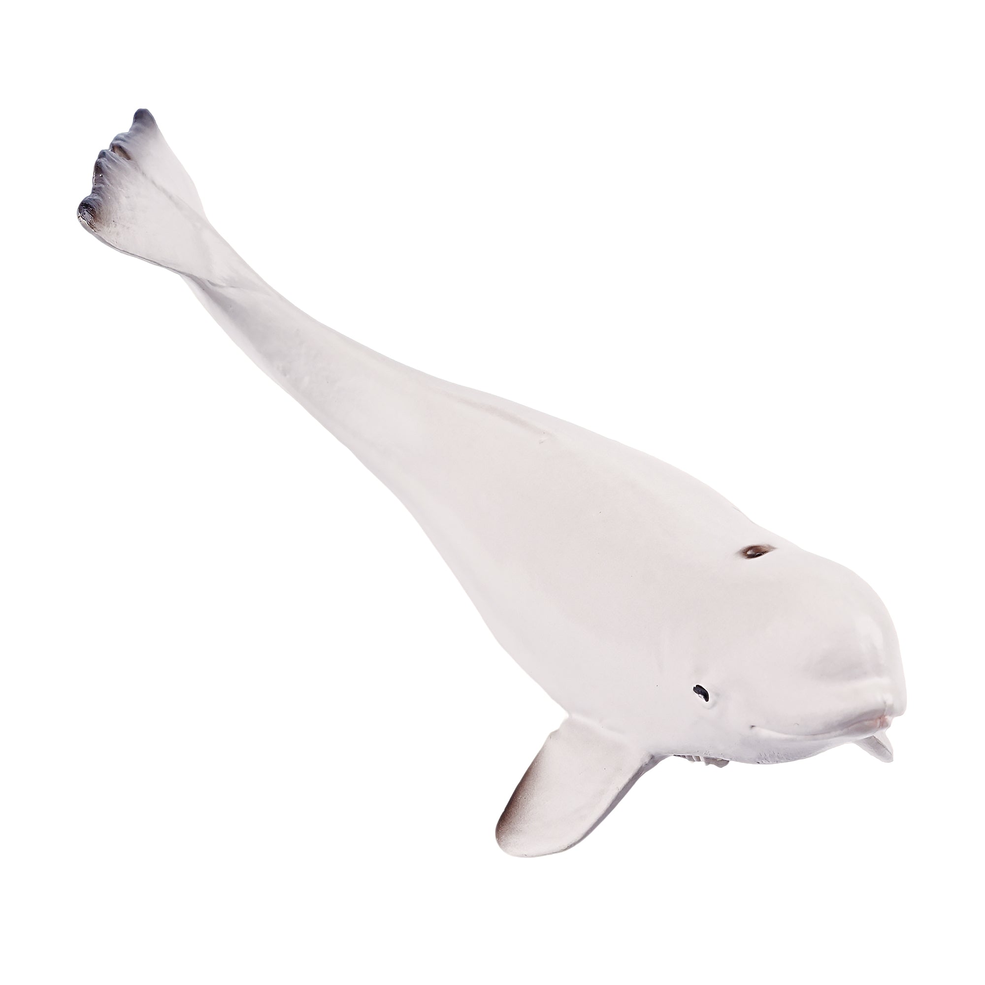 Toymany_Beluga_Whale_Calf_Figurine_Toy_Small_Size-4