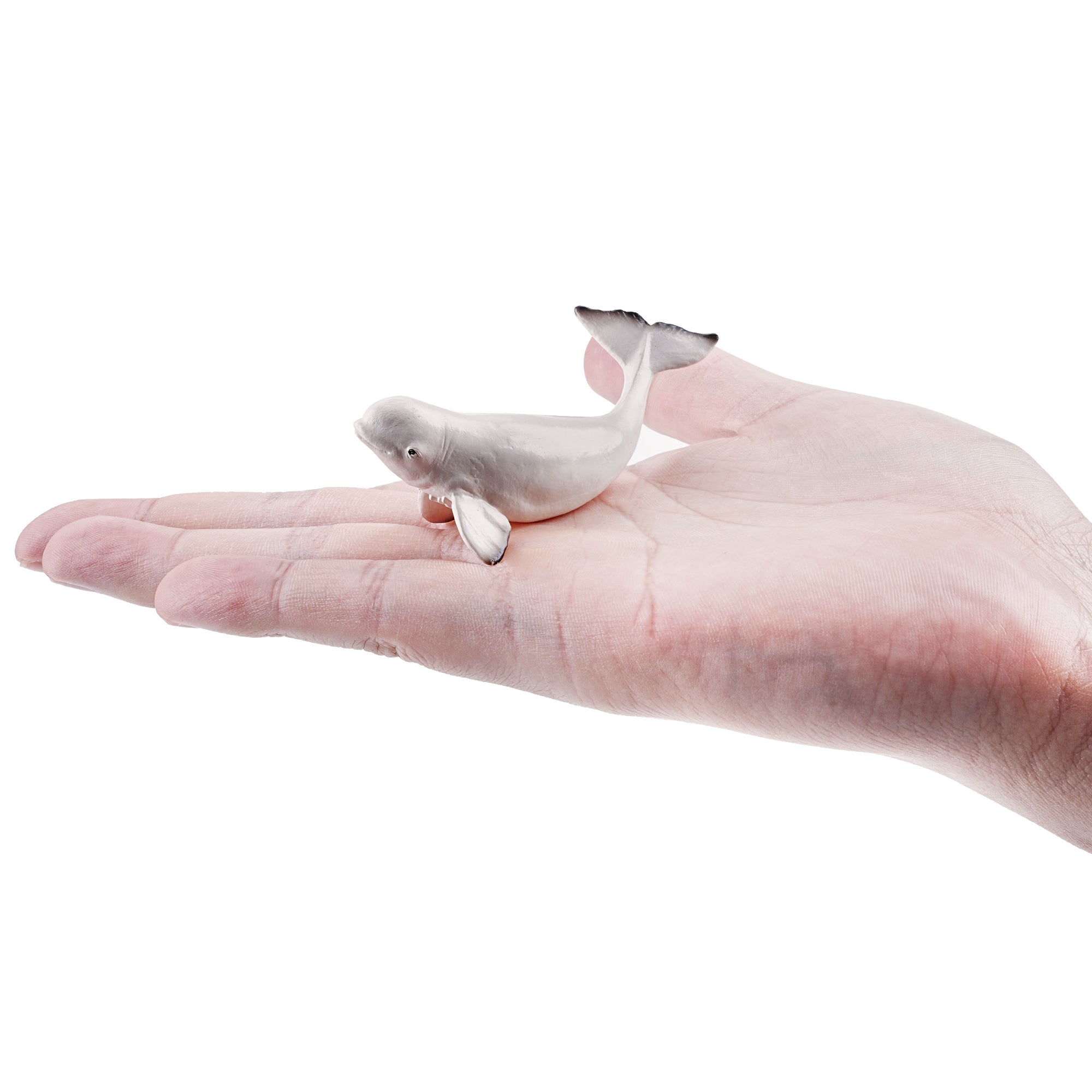 Toymany_Beluga_Whale_Calf_Figurine_Toy_Small_Size-on_hand