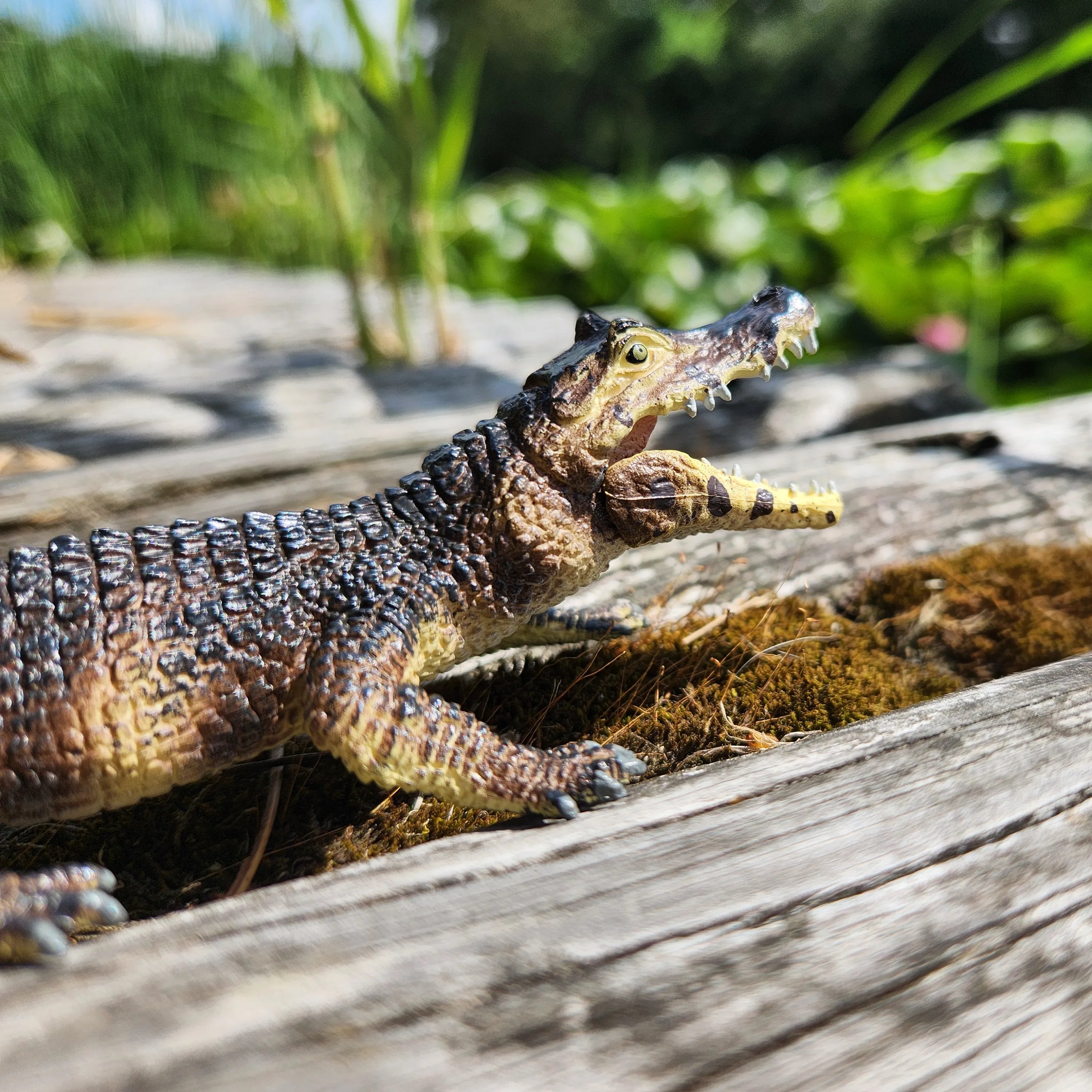 Toymany Black Caiman Figurine Toy