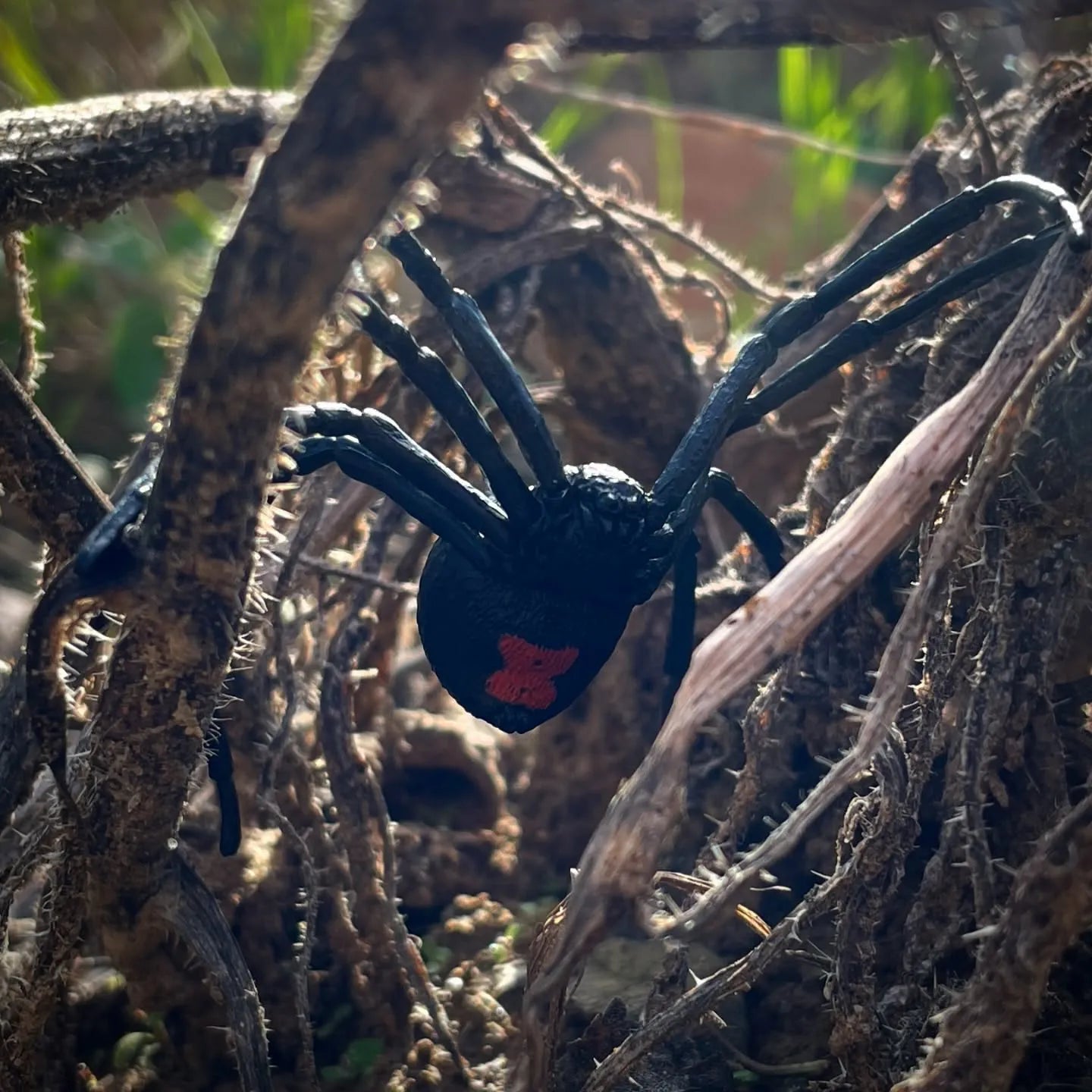Toymany Black Widow Spider Figurine Toy