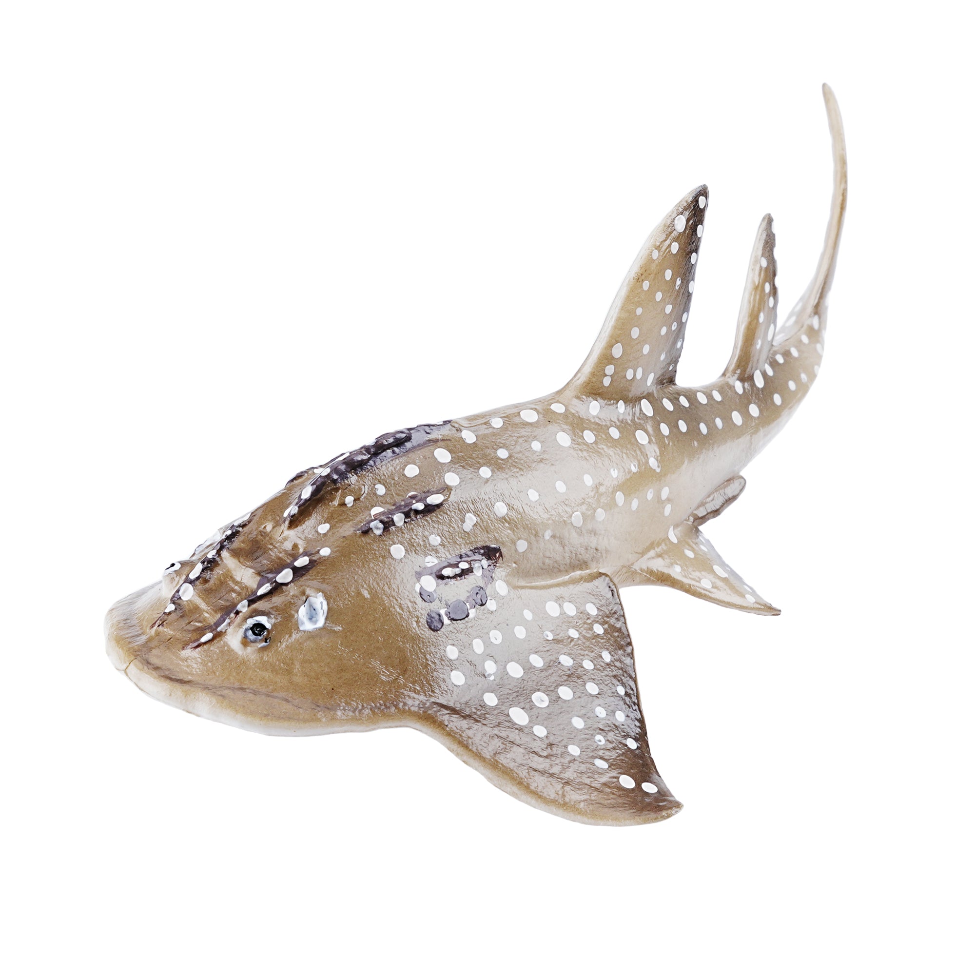 Toymany_Bowmouth_Guitarfish_Figurine_Toy_Small_Size-1