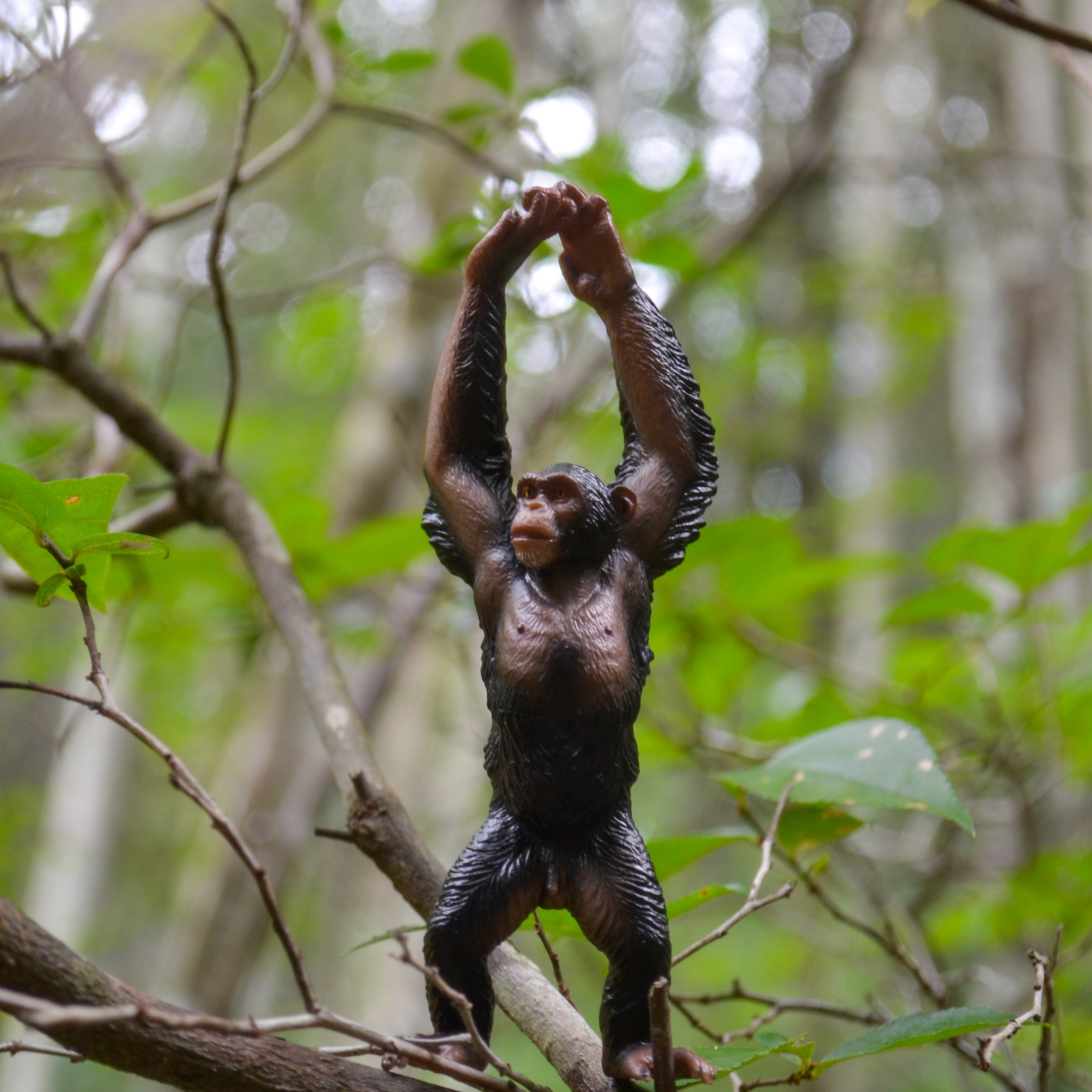 Toymany Chimpanzee Figurine Toy