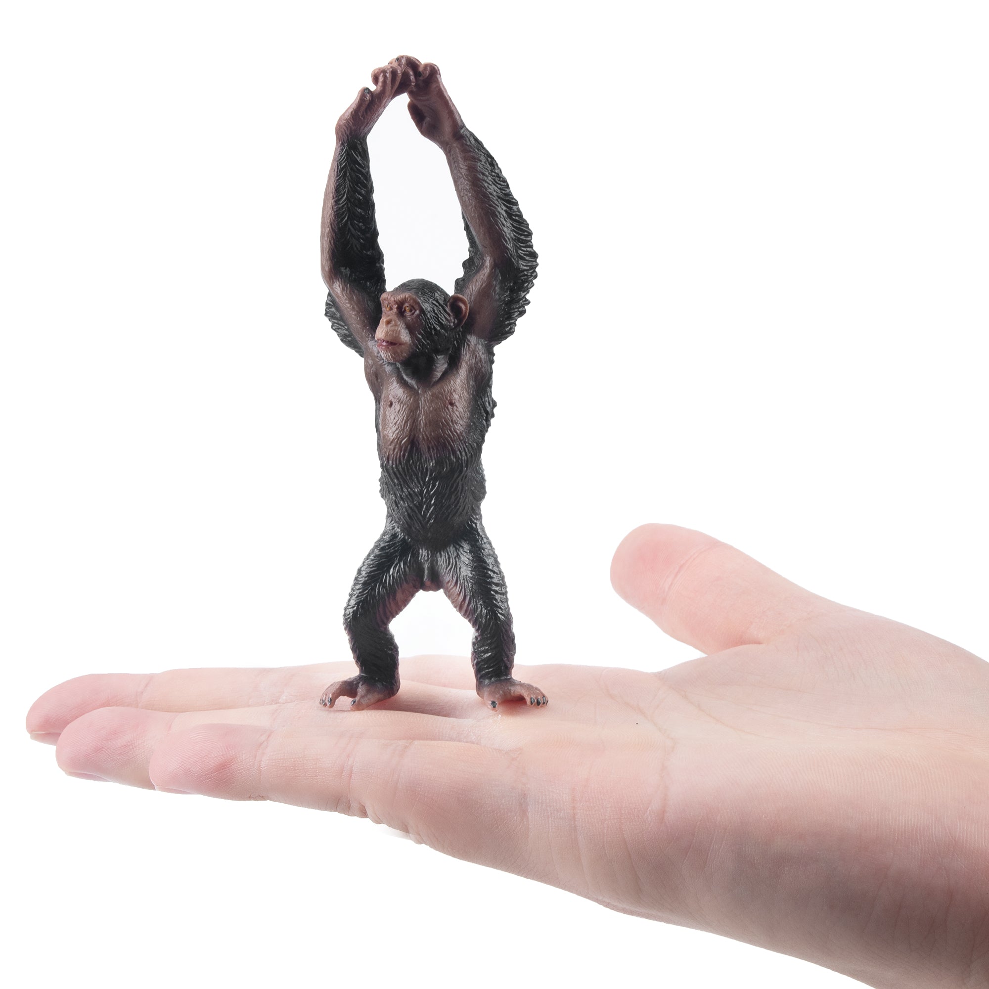 Toymany_Chimpanzee_Figurine_Toy-on_hand