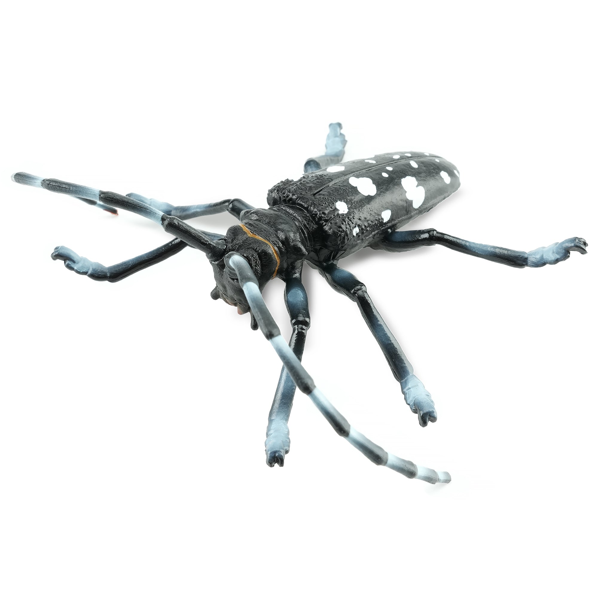 Toymany_Citrus_Longhorned_Beetle_Figurine_Toy-1