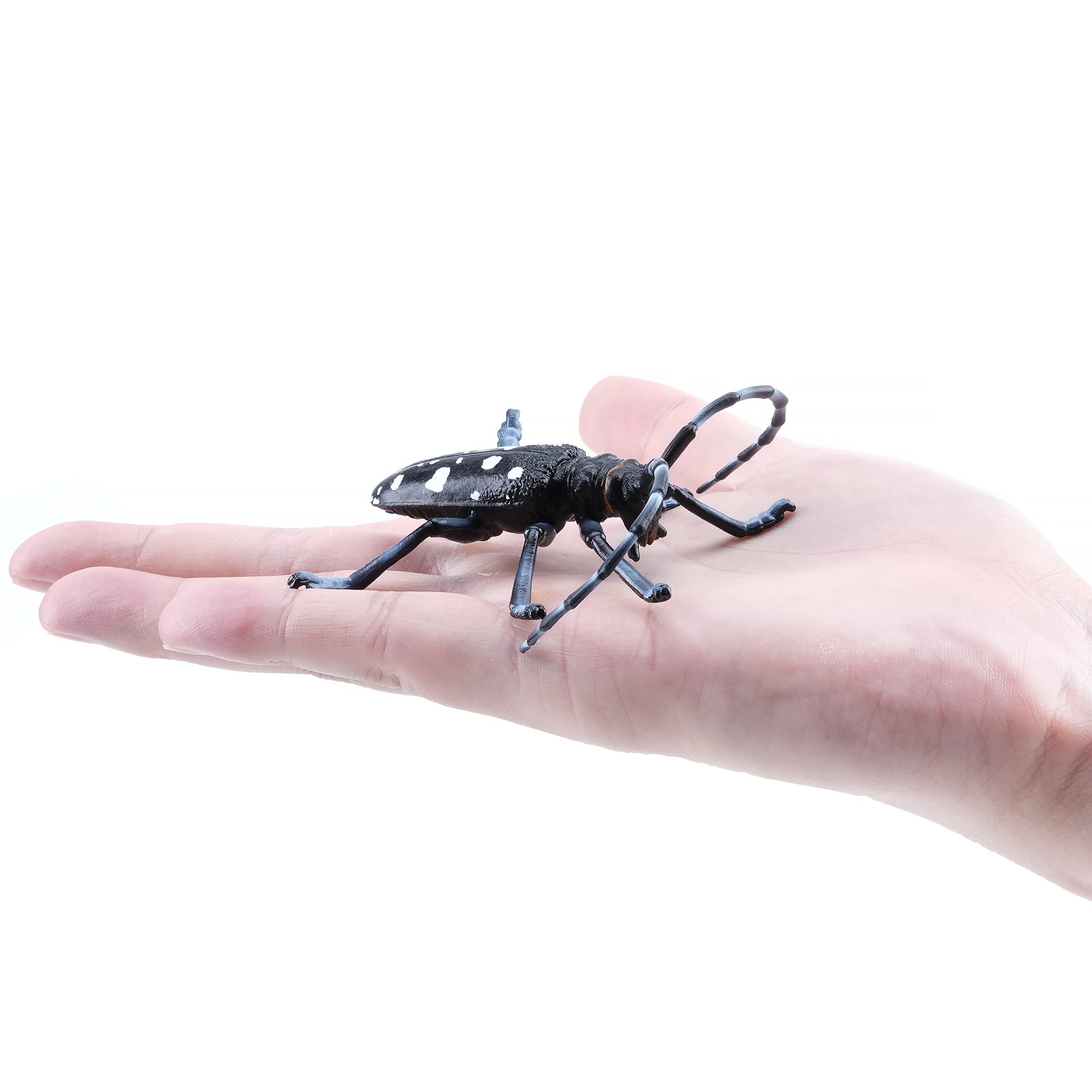 Toymany_Citrus_Longhorned_Beetle_Figurine_Toy-on_hand