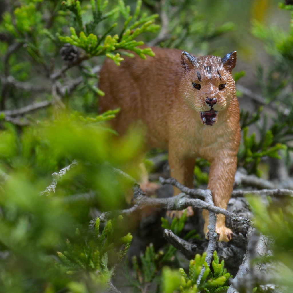 Toymany Cougar Figurine Toy