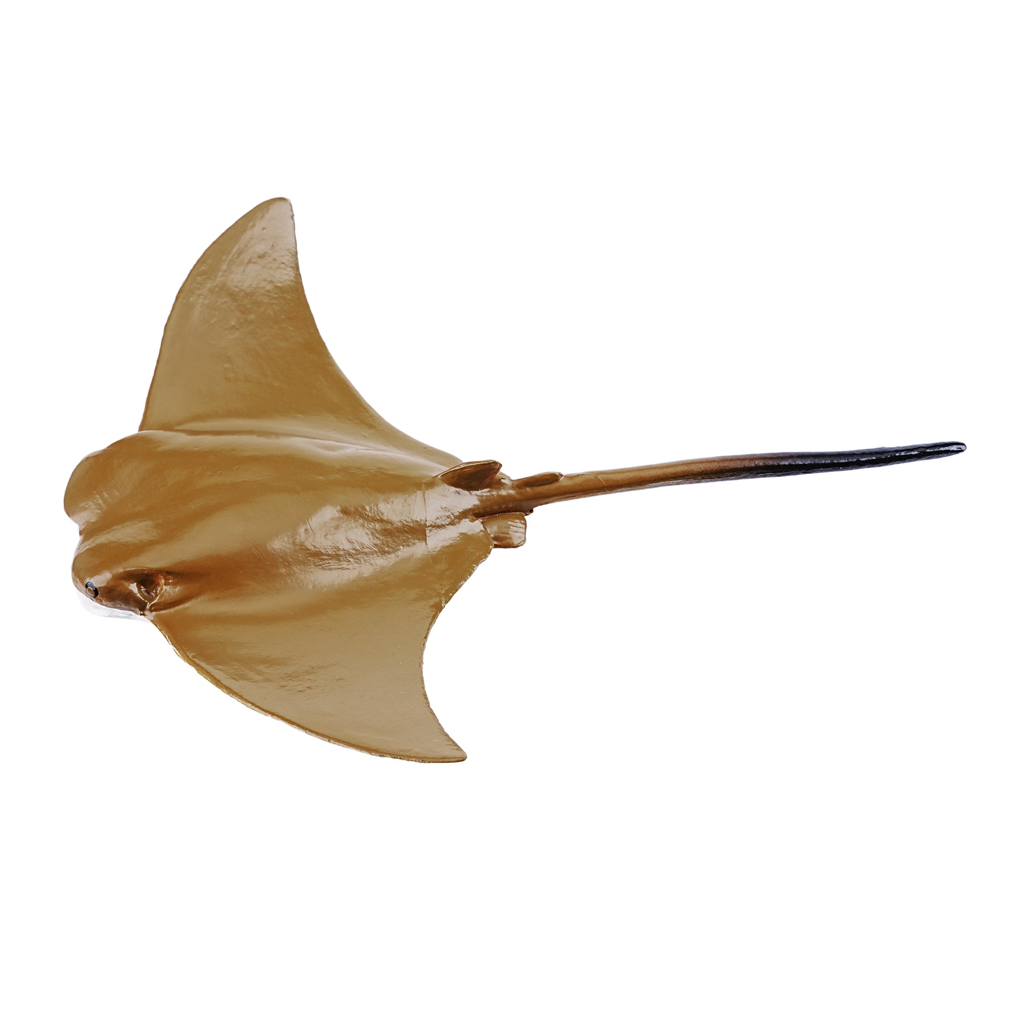 Toymany_Cownose_Ray_Figurine_Toy_Small_Size-2