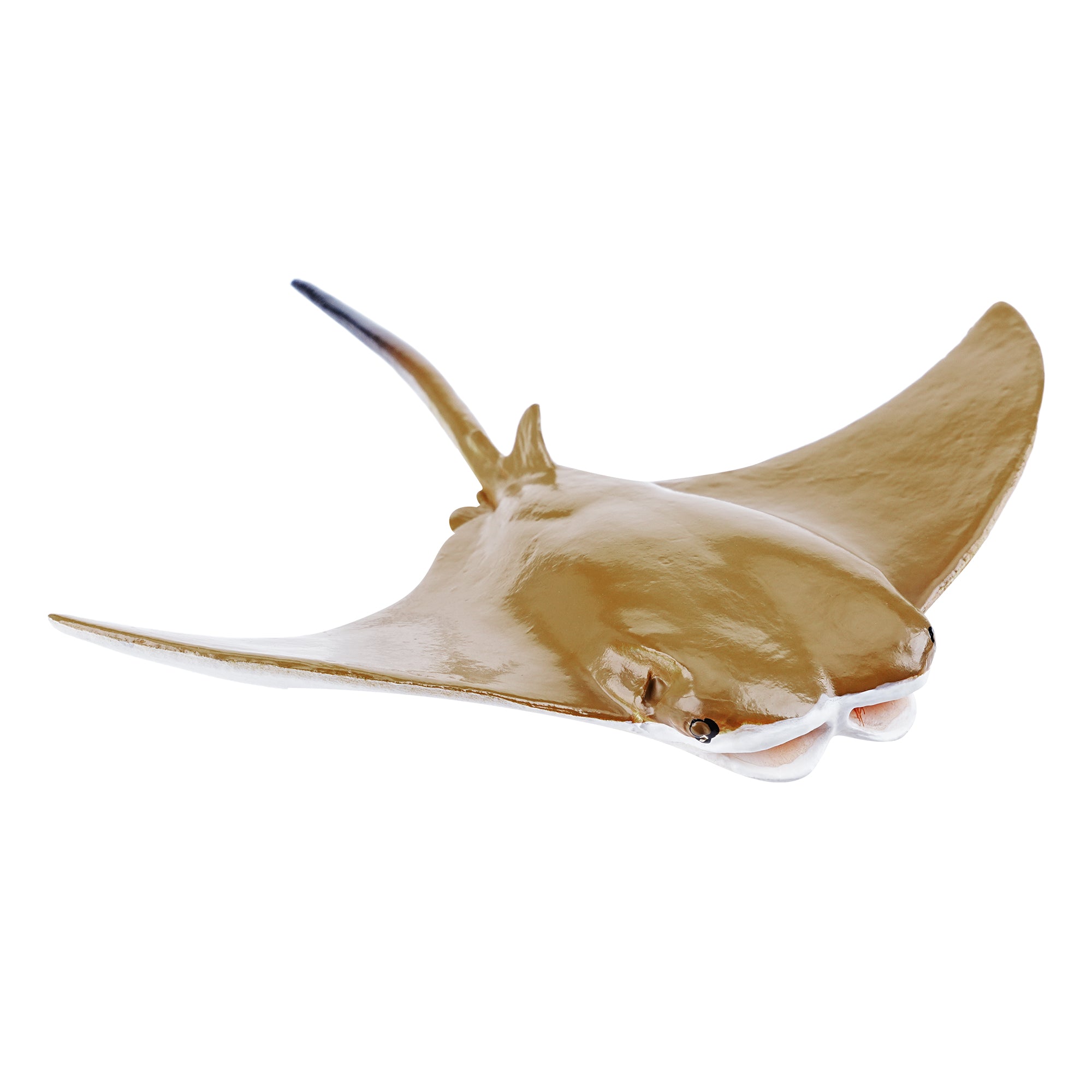 Toymany_Cownose_Ray_Figurine_Toy_Small_Size-5