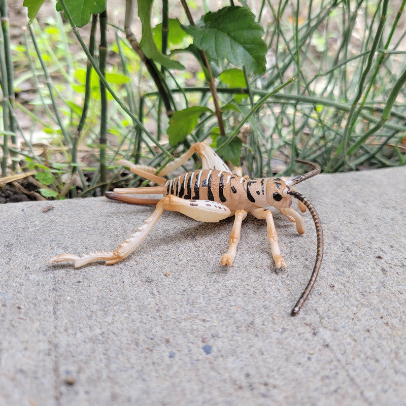 Toymany Cricket Figurine Toy