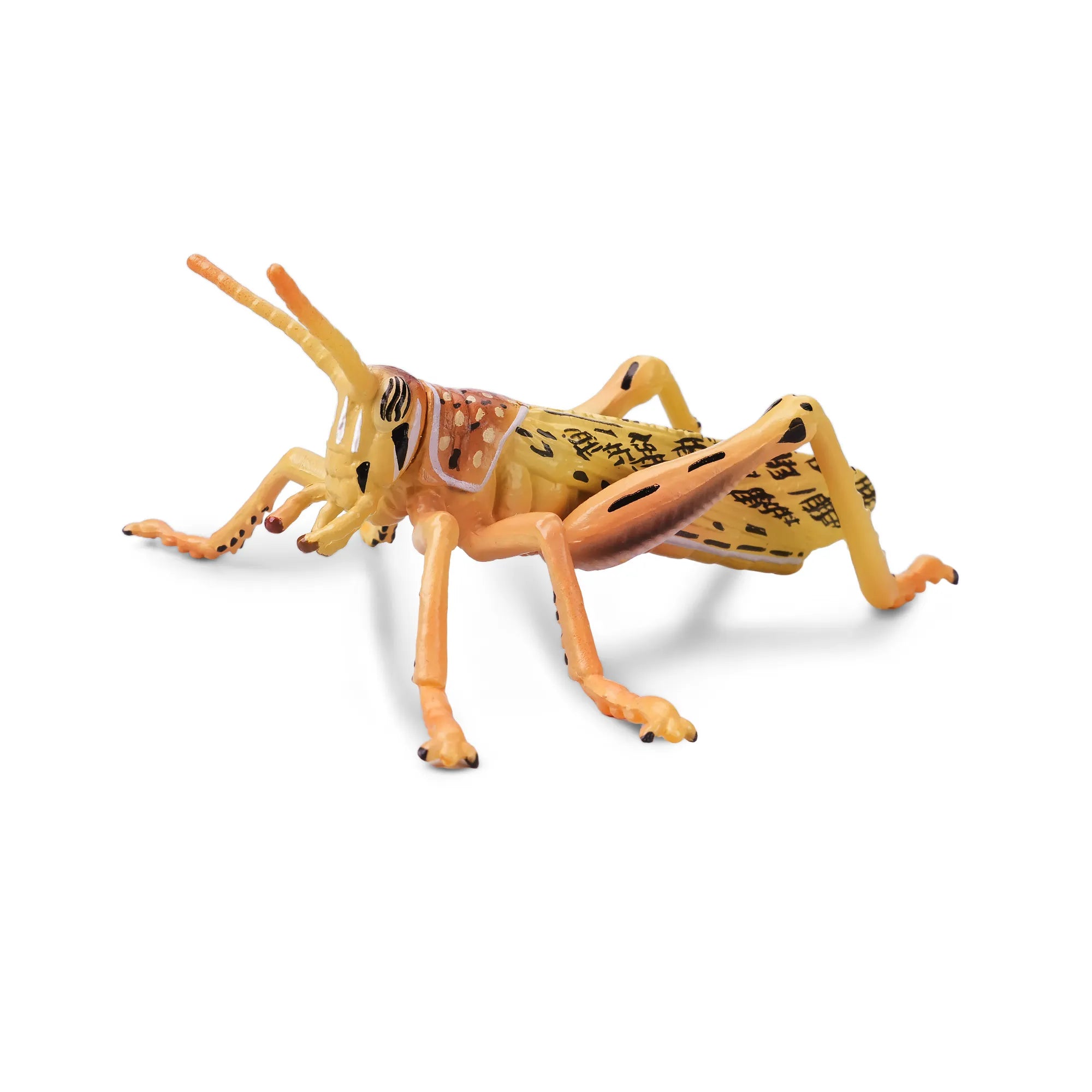 Toymany Desert Locust Figurine Toy