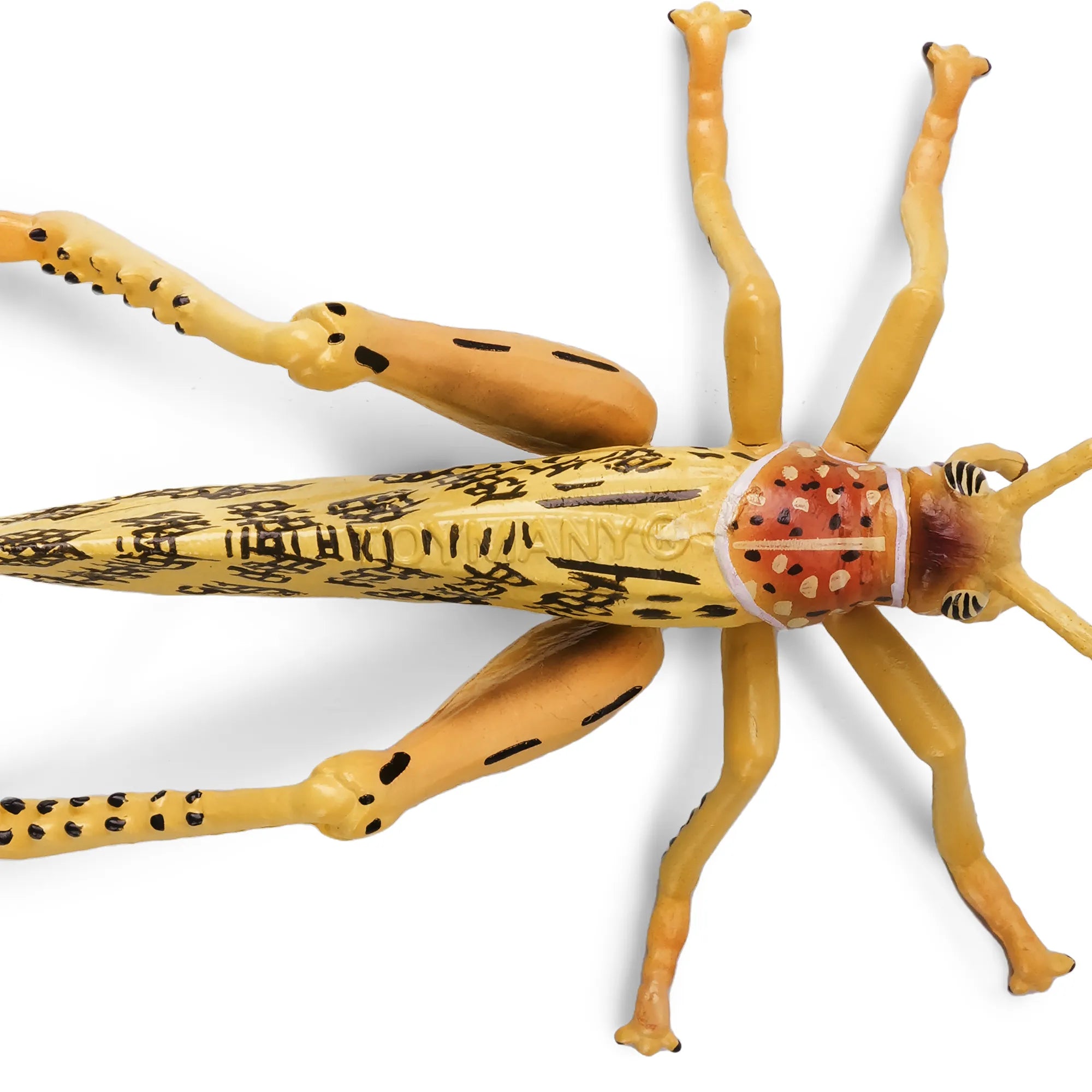 Toymany Desert Locust Figurine Toy