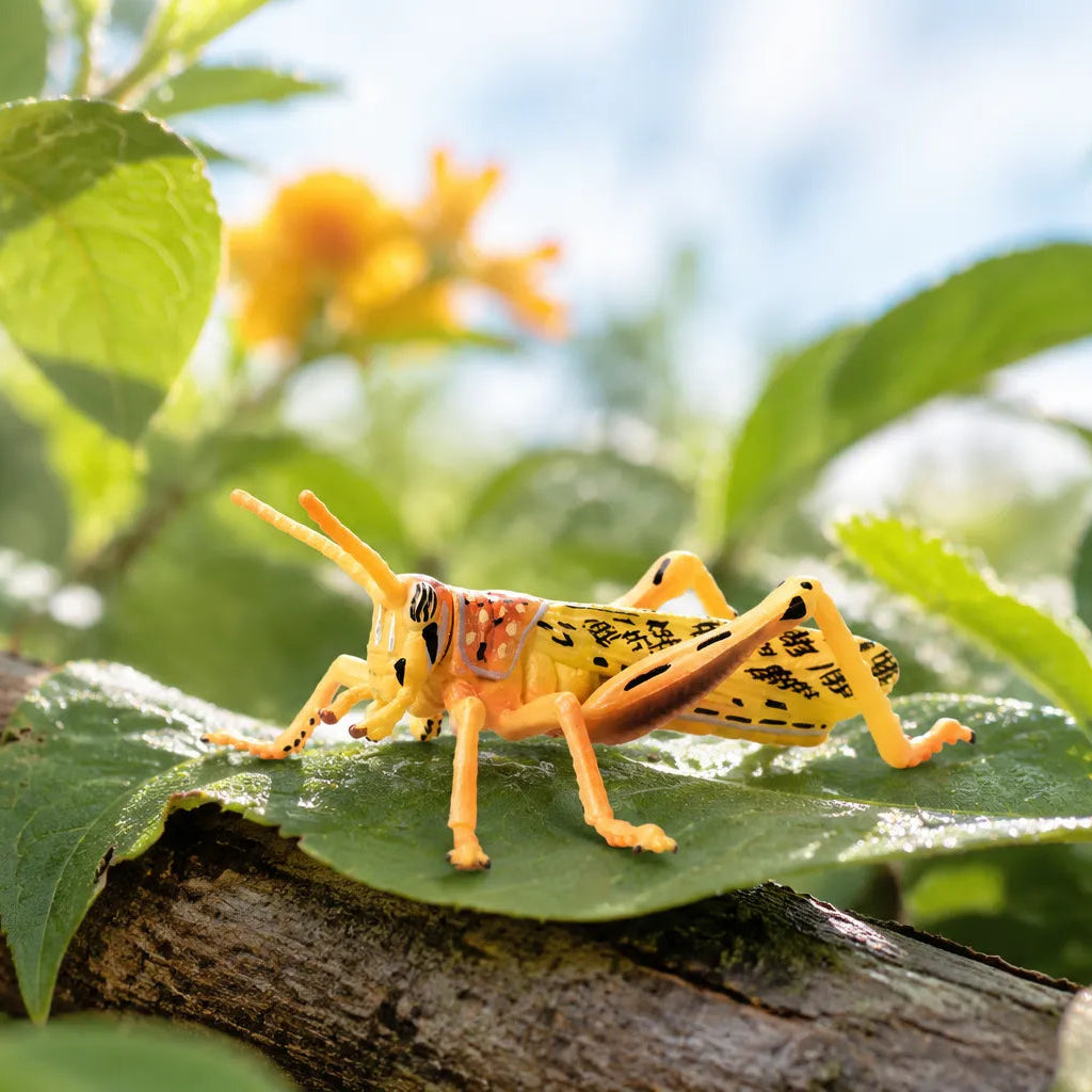 Toymany Desert Locust Figurine Toy-scene