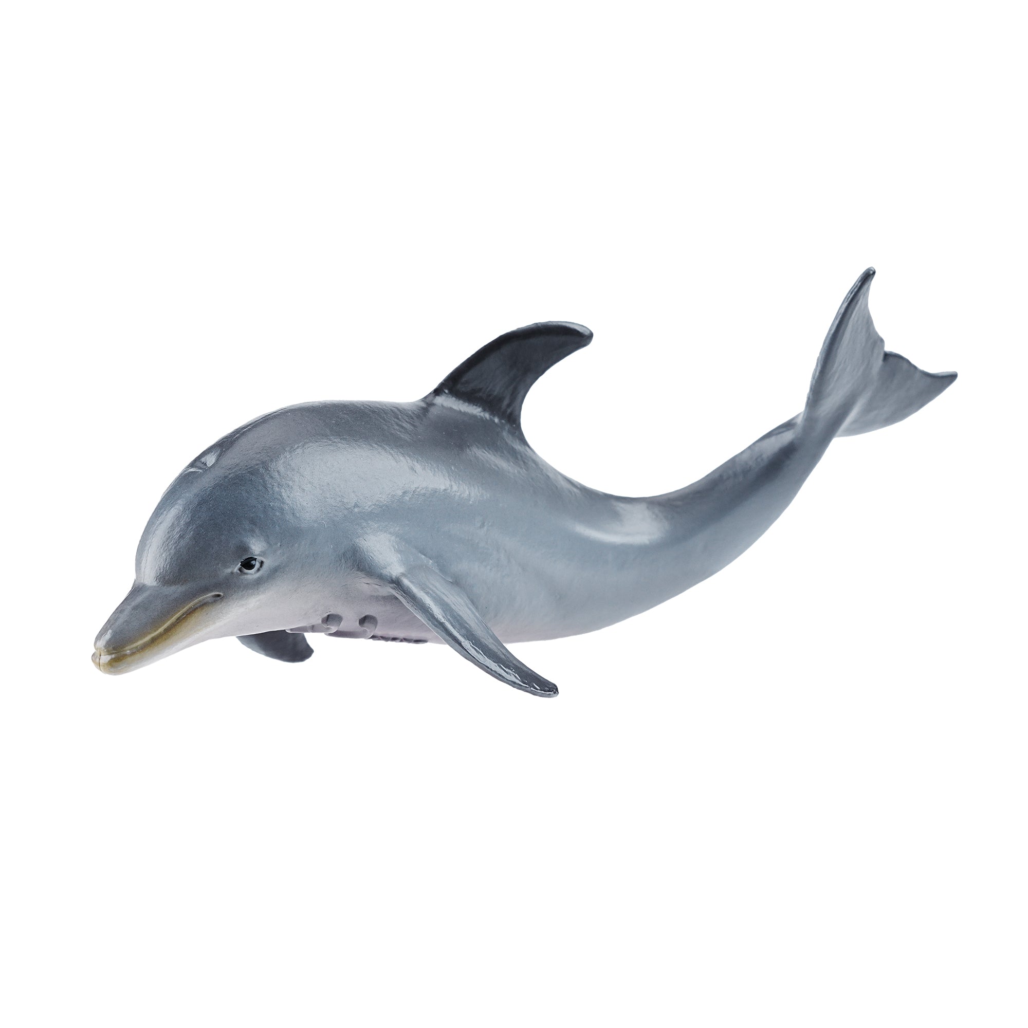 Toymany_Dolphin_Calf_Figurine_Toy_Small_Size-1