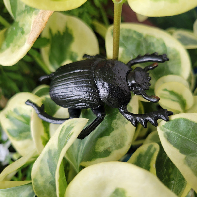 Toymany Dung Beetle Figurine Toy