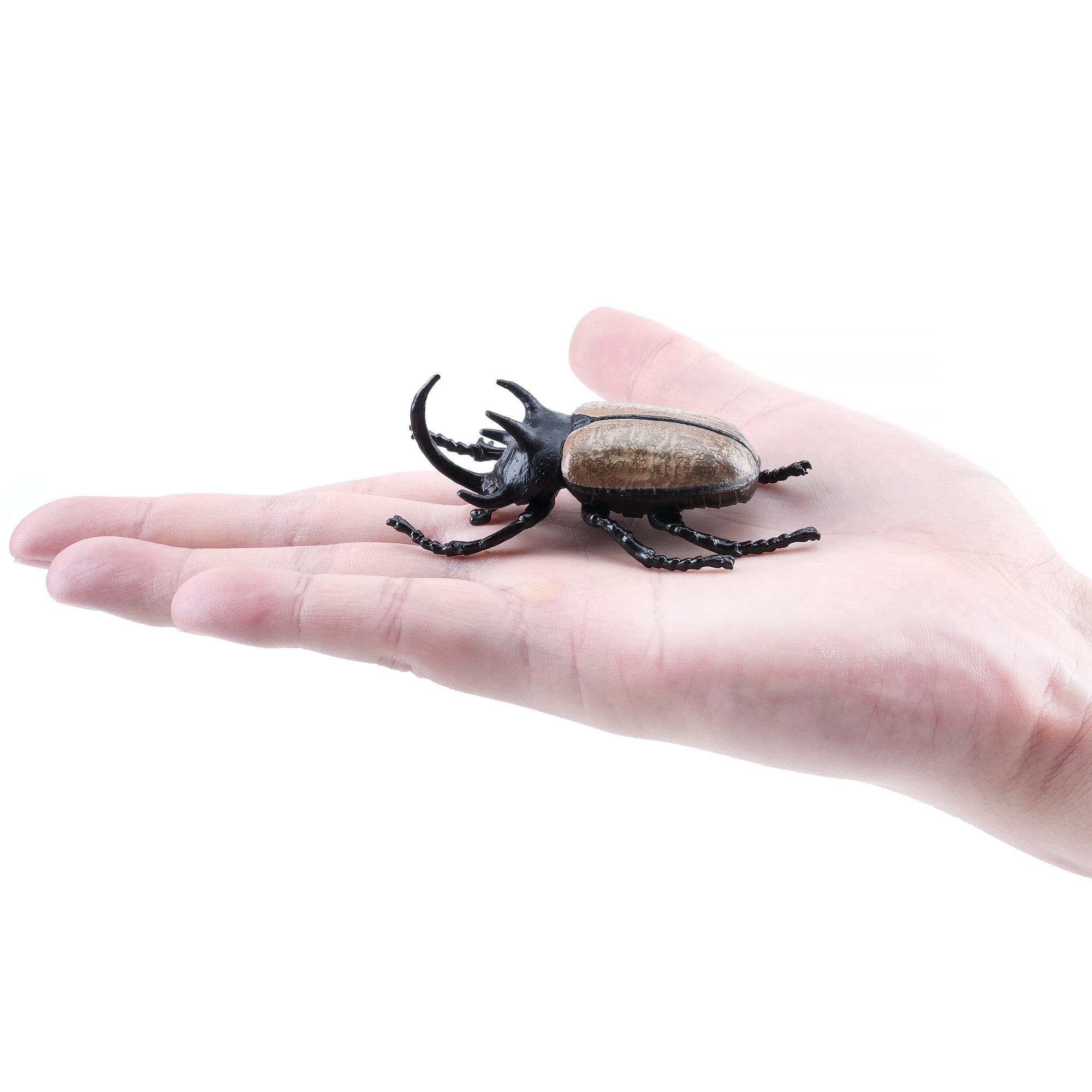 Toymany_Five-horned_Rhinoceros_Beetle_Figurine_Toy-on_hand