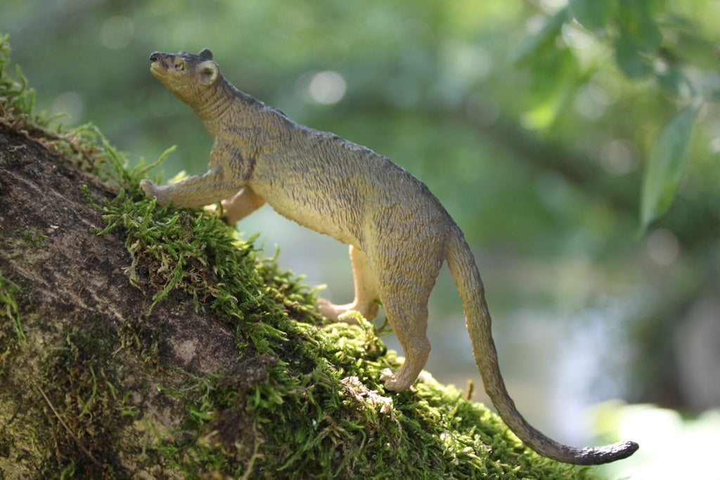 Toymany Fossa Figurine Toy