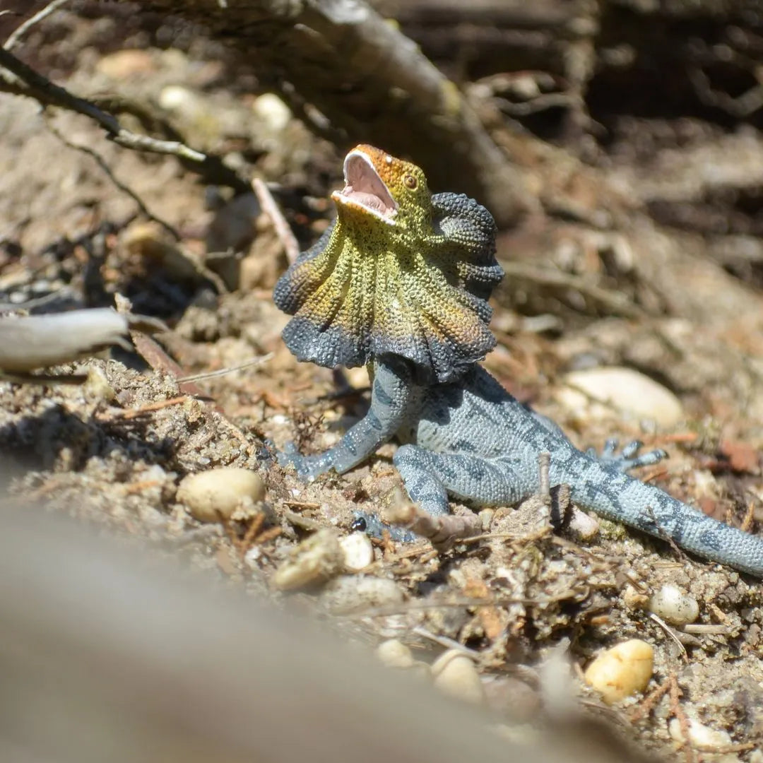 Toymany Frilled Lizard Figurine Toy