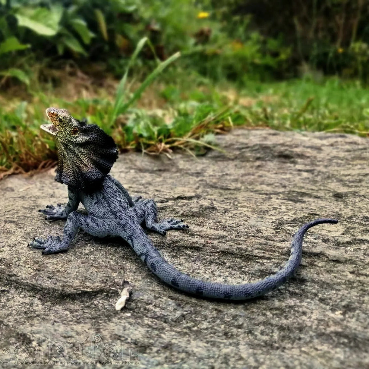 Toymany Frilled Lizard Figurine Toy