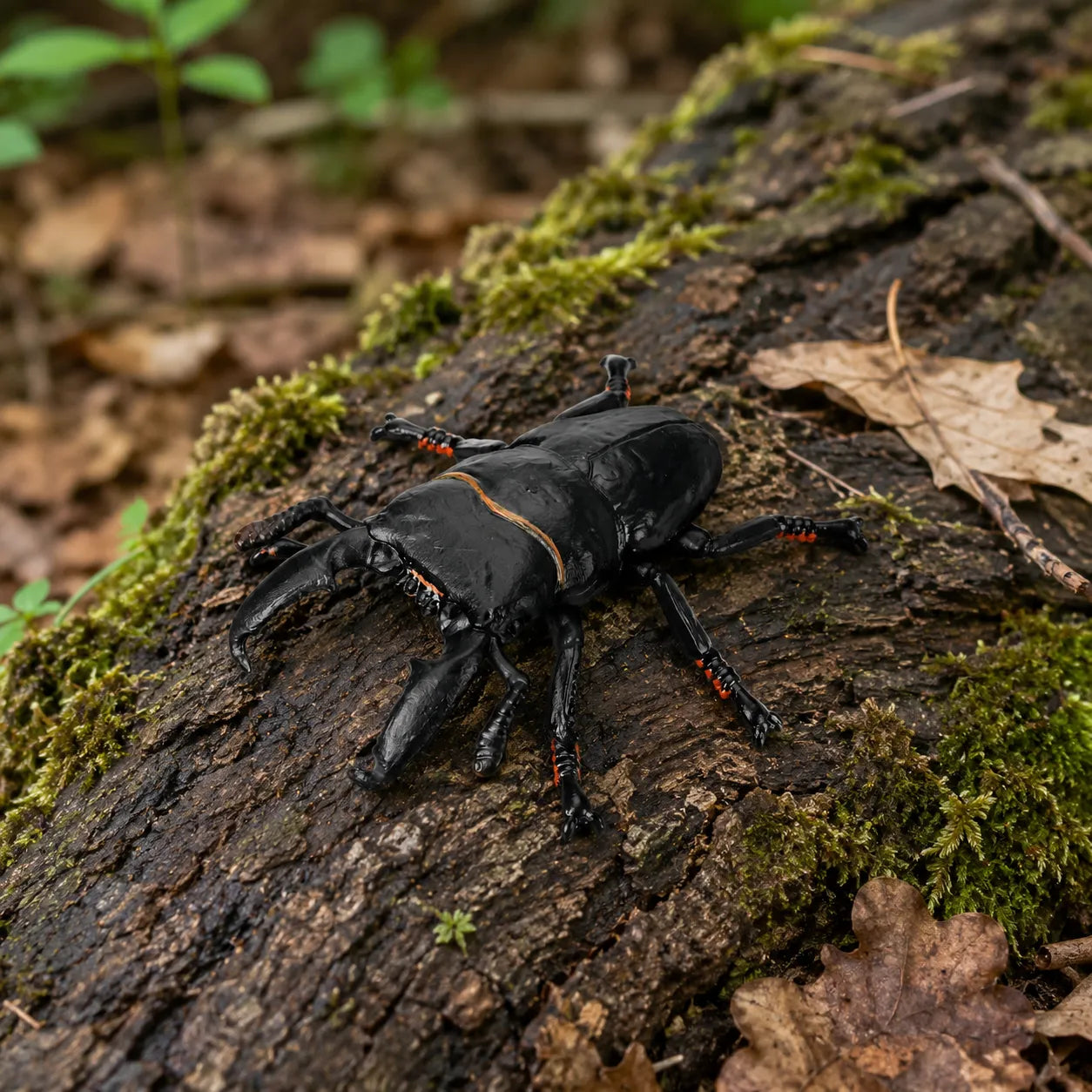 Toymany Giant Stag Beetle Figurine Toy-scene