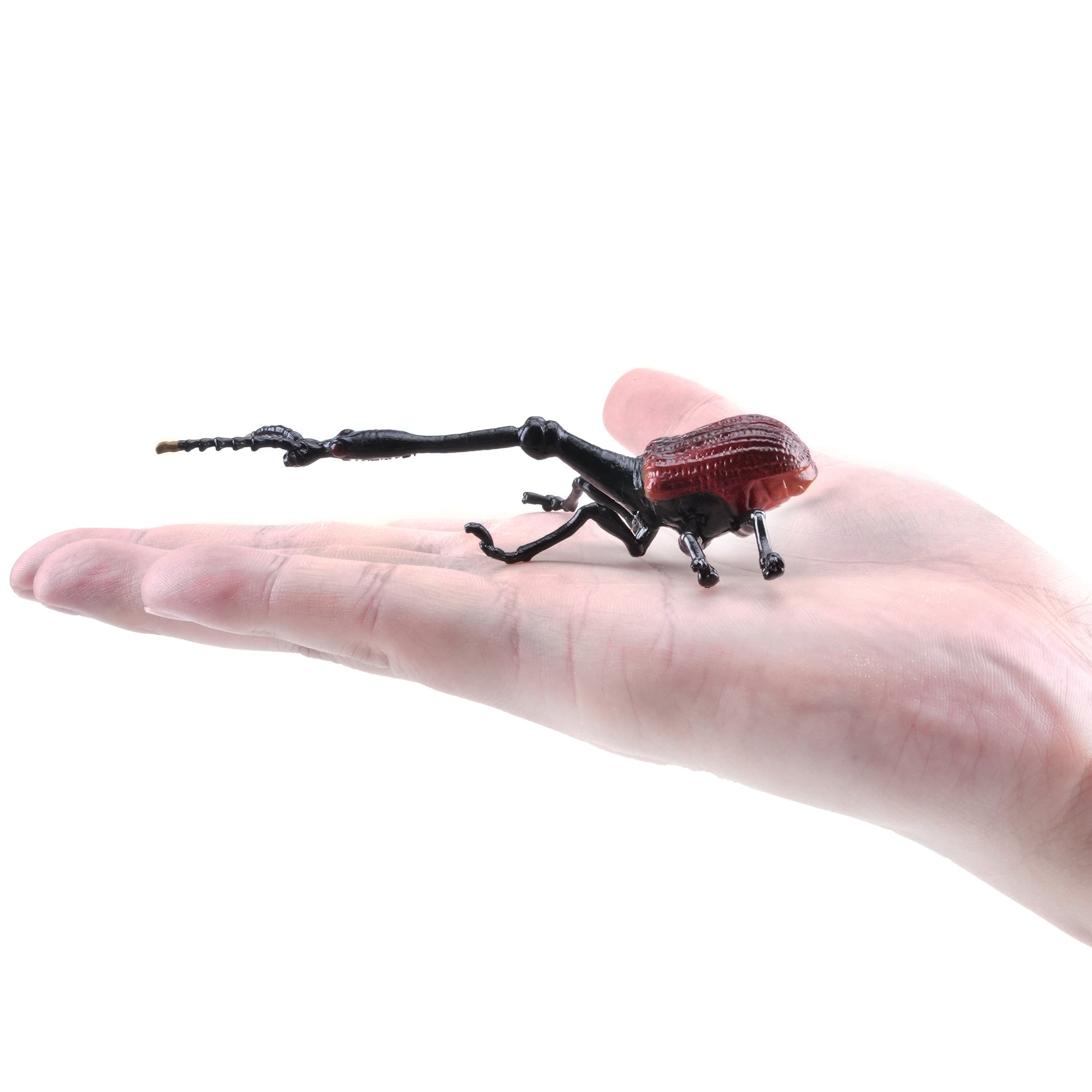 Toymany_Giraffe_Weevil_Figurine_Toy-on_hand