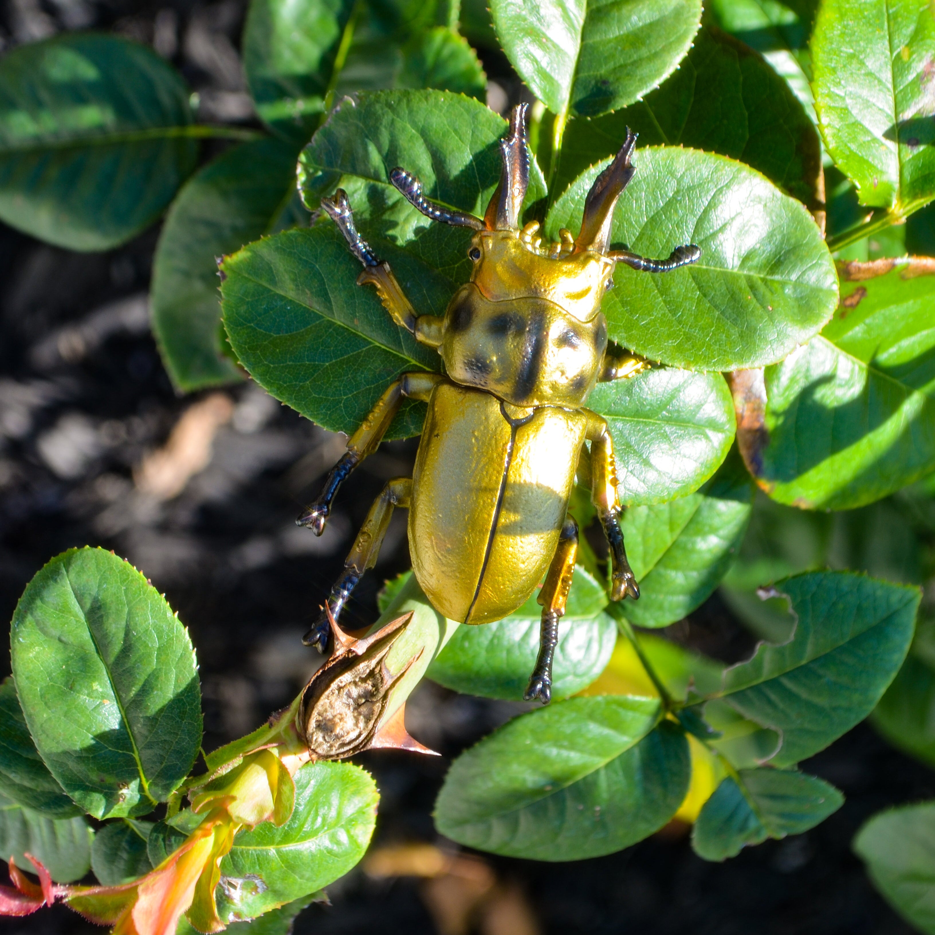 Toymany Golden Stag Beetle Figurine Toy