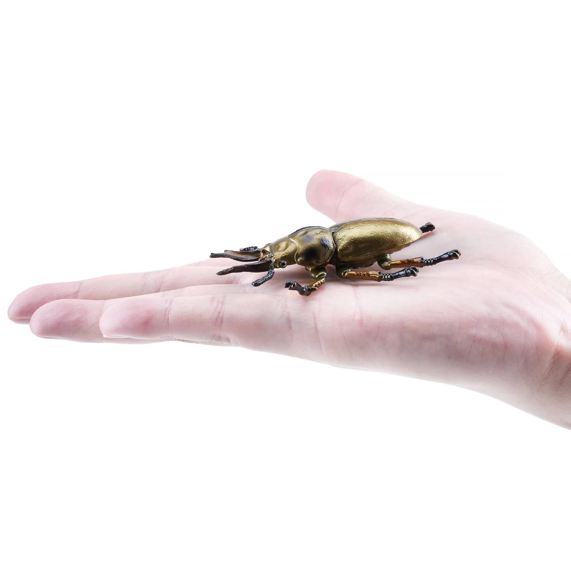 Toymany_Golden_Stag_Beetle_Figurine_Toy-on_hand
