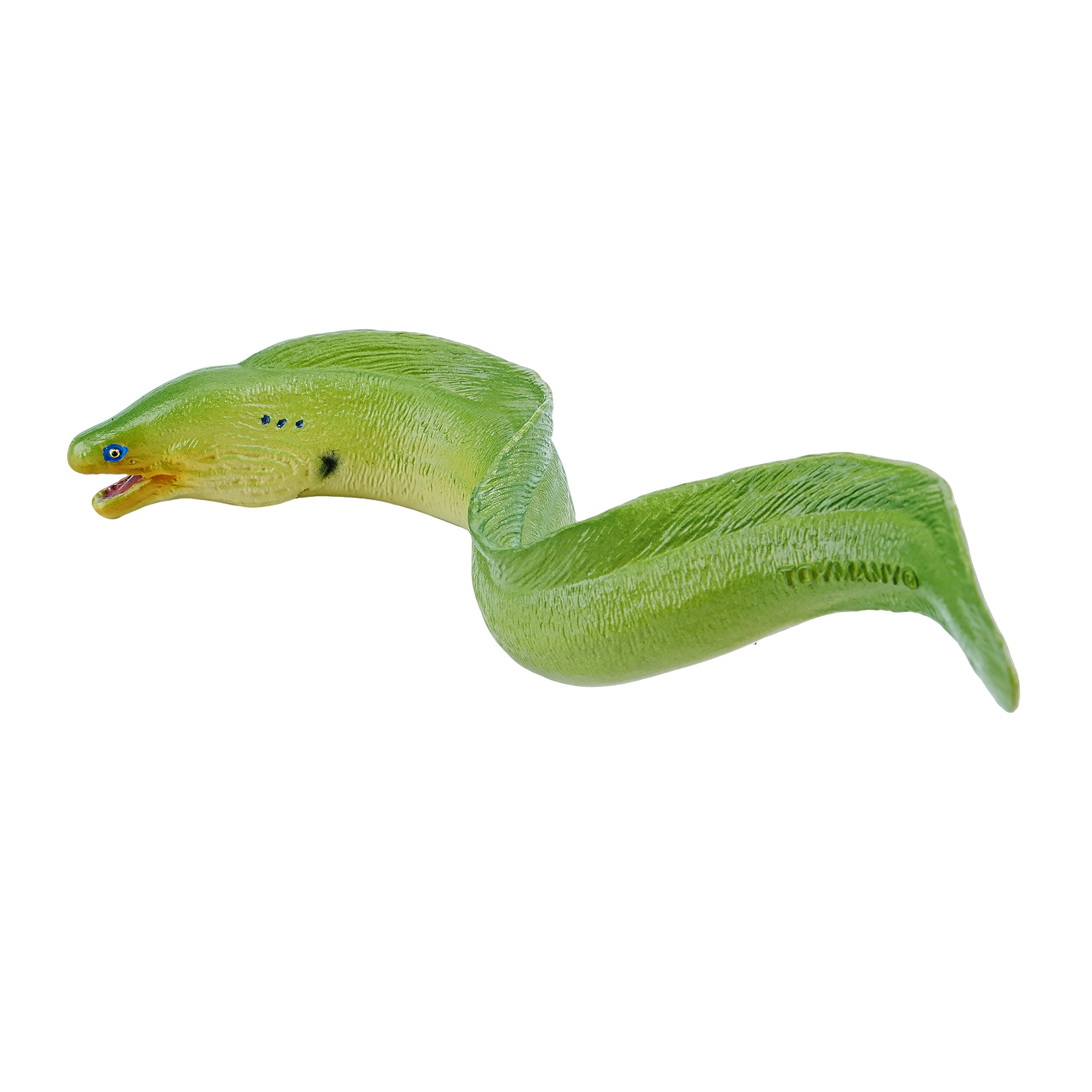 Toymany_Green_Moray_Eel_Figurine_Toy_Small_Size-2