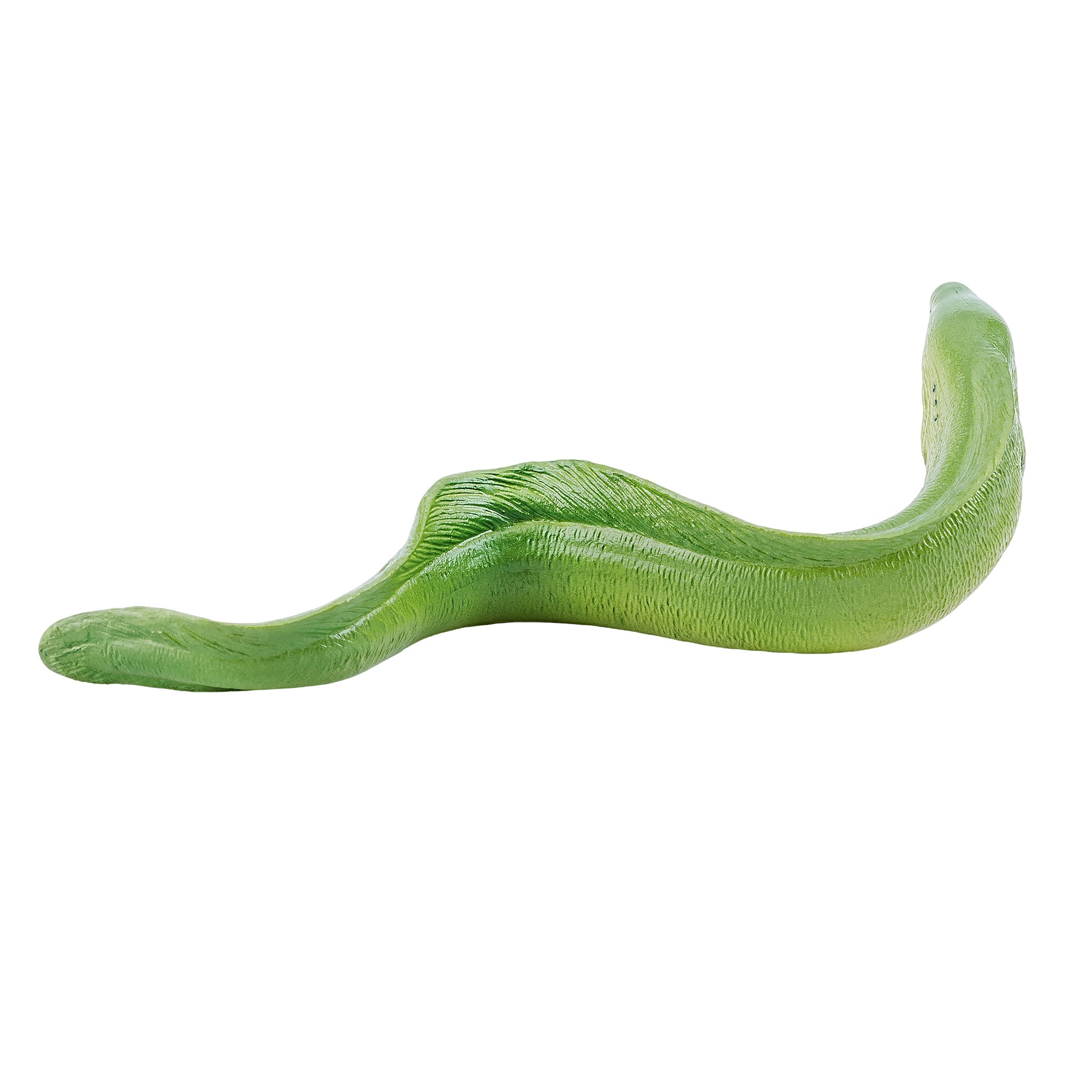 Toymany_Green_Moray_Eel_Figurine_Toy_Small_Size-4