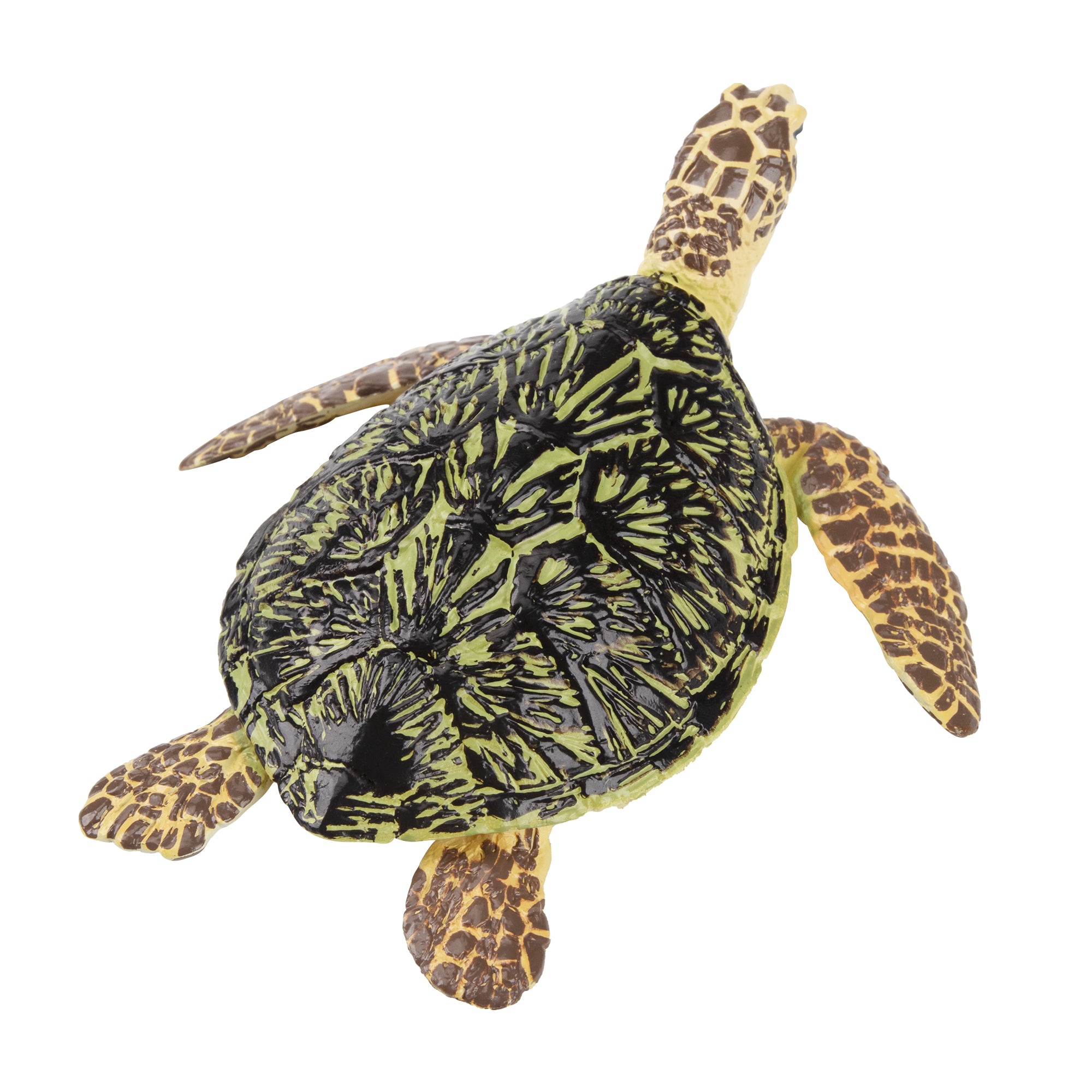 Toymany Green Sea Turtle Figurine Toy-back