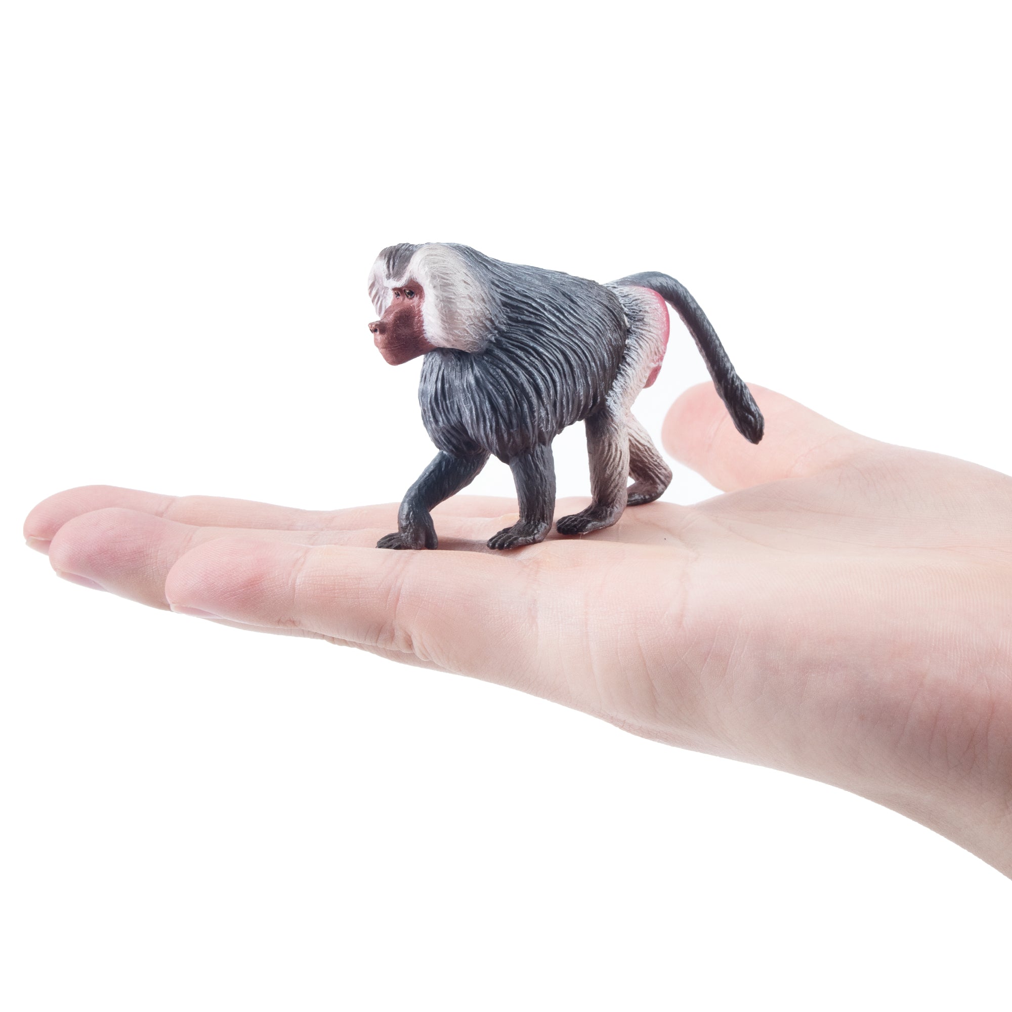 Toymany_Hamadrayas_Baboon_Figurine_Toy-on_hand