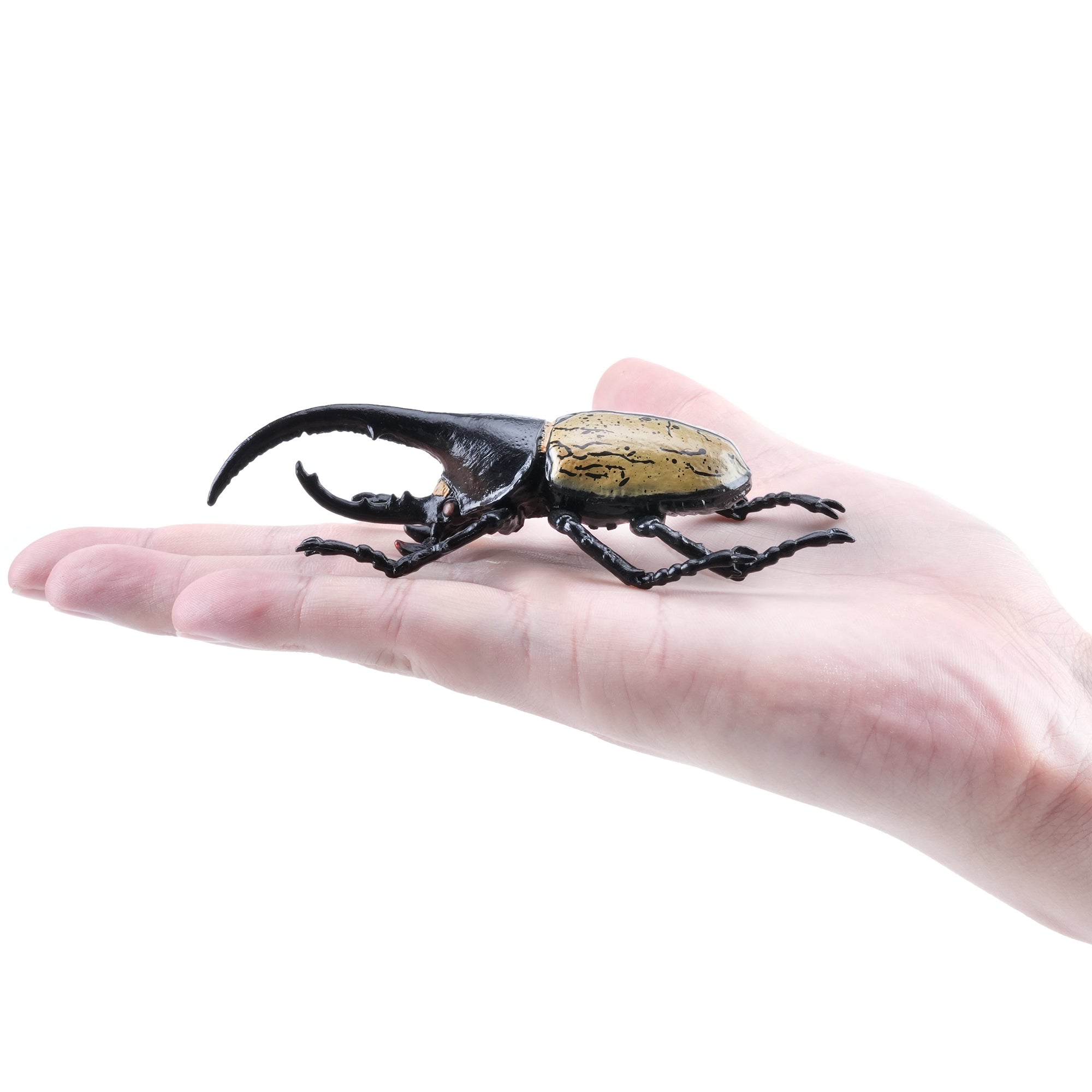 Toymany_Hercules_Beetle_Figurine_Toy-on_hand